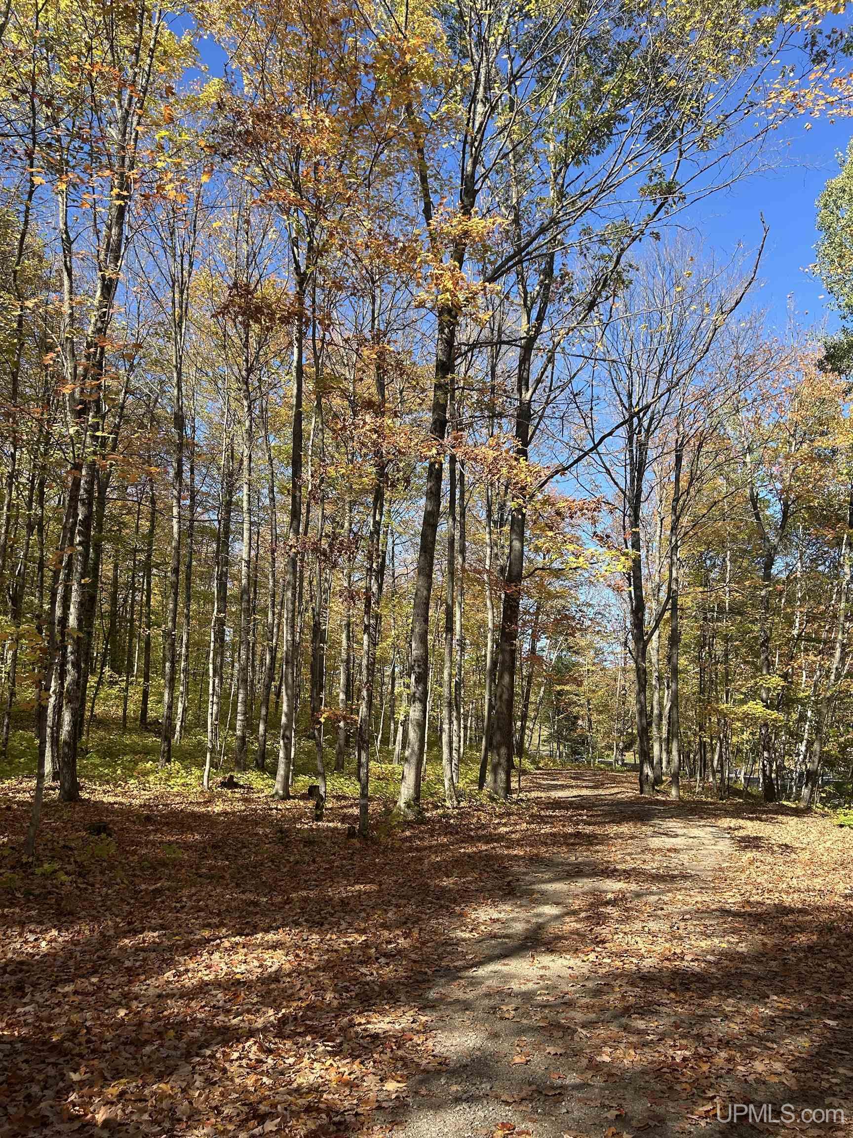 Homes for sale in Negaunee, MI | Parcel 7 Old Co Rd 510 Rd, Negaunee, MI 49866 | MLS# 50103571