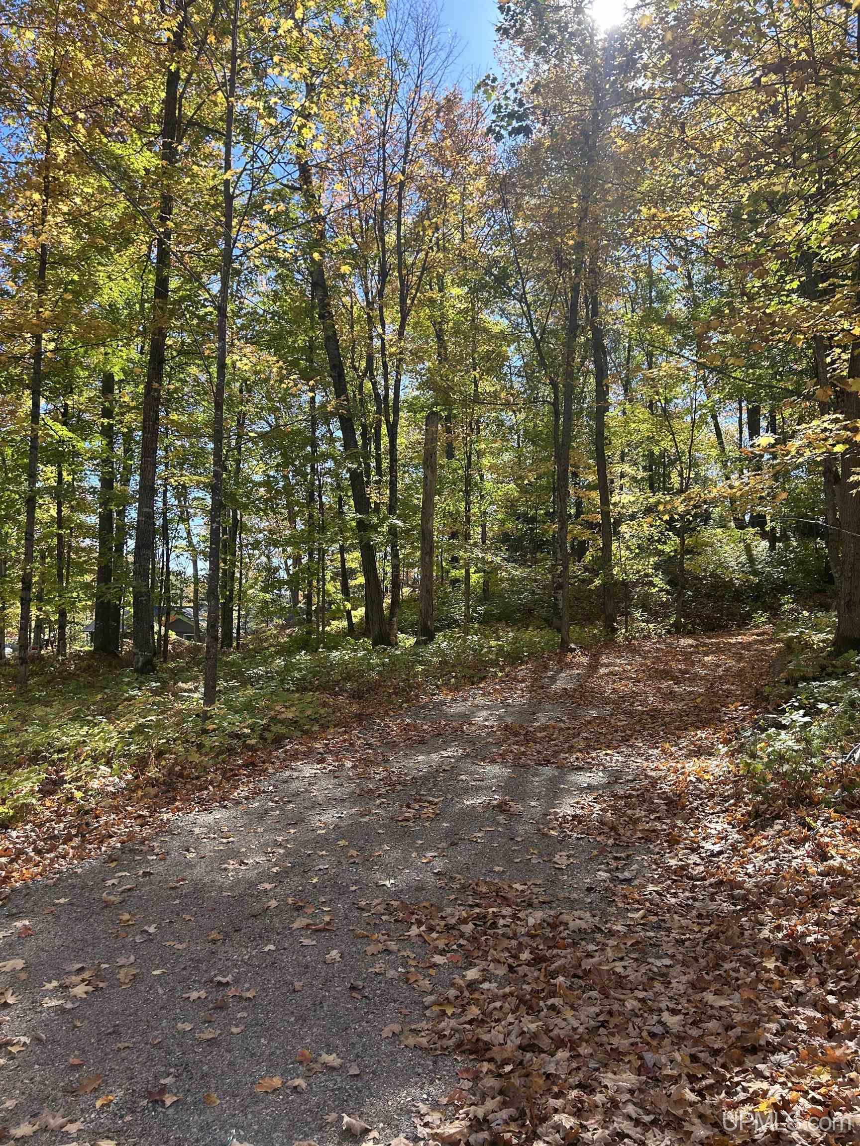 Homes for sale in Negaunee, MI | Parcel 7 Old Co Rd 510 Rd, Negaunee, MI 49866 | MLS# 50103571