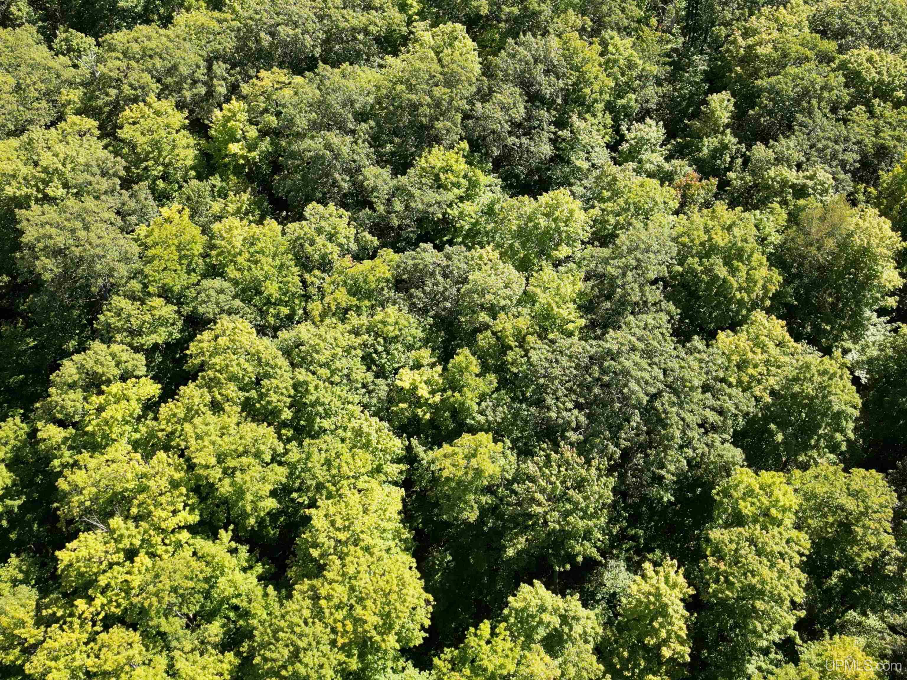 Homes for sale in Negaunee, MI | Parcel 7 Old Co Rd 510 Rd, Negaunee, MI 49866 | MLS# 50103571