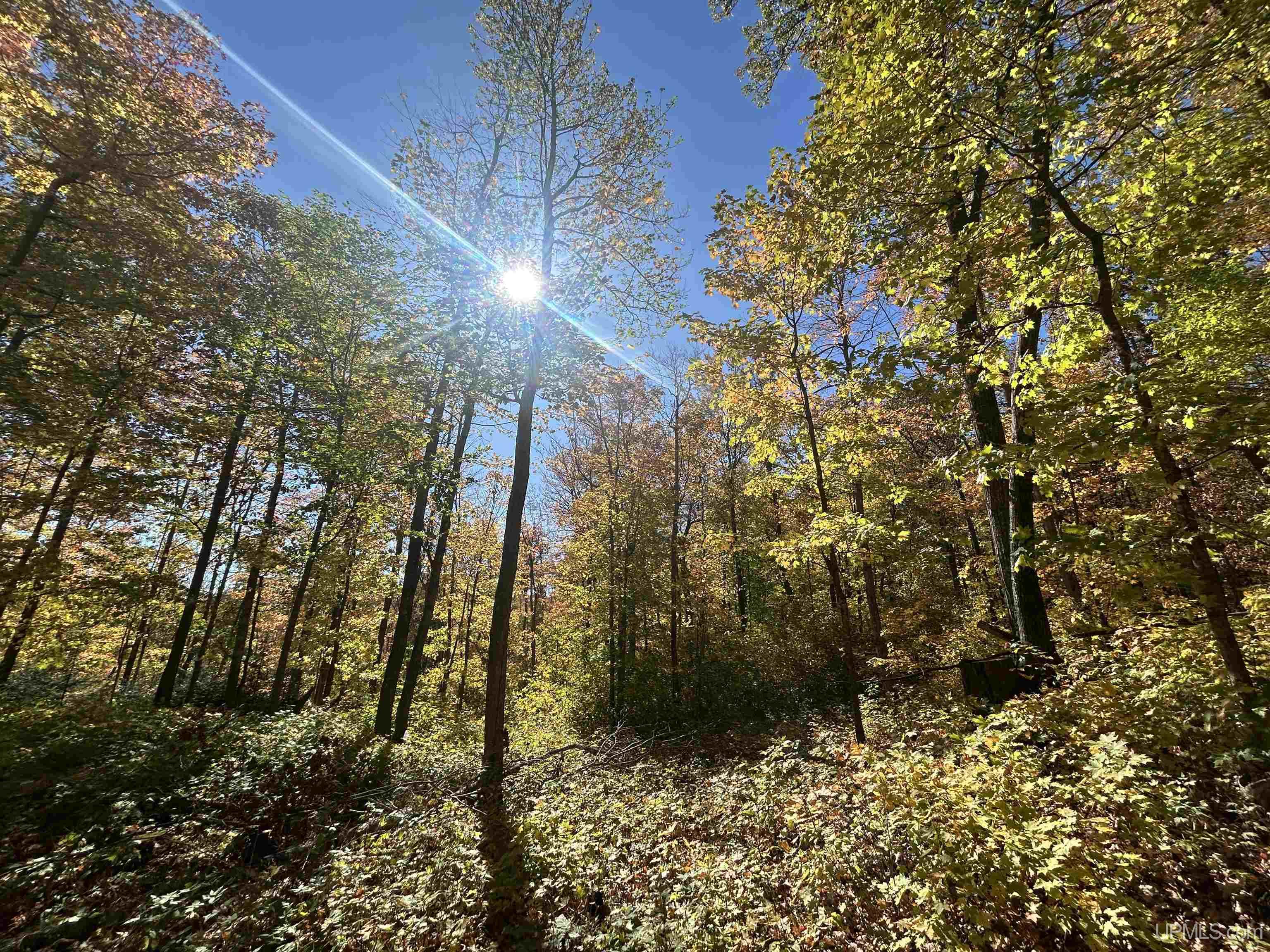 Homes for sale in Negaunee, MI | Parcel 7 Old Co Rd 510 Rd, Negaunee, MI 49866 | MLS# 50103571