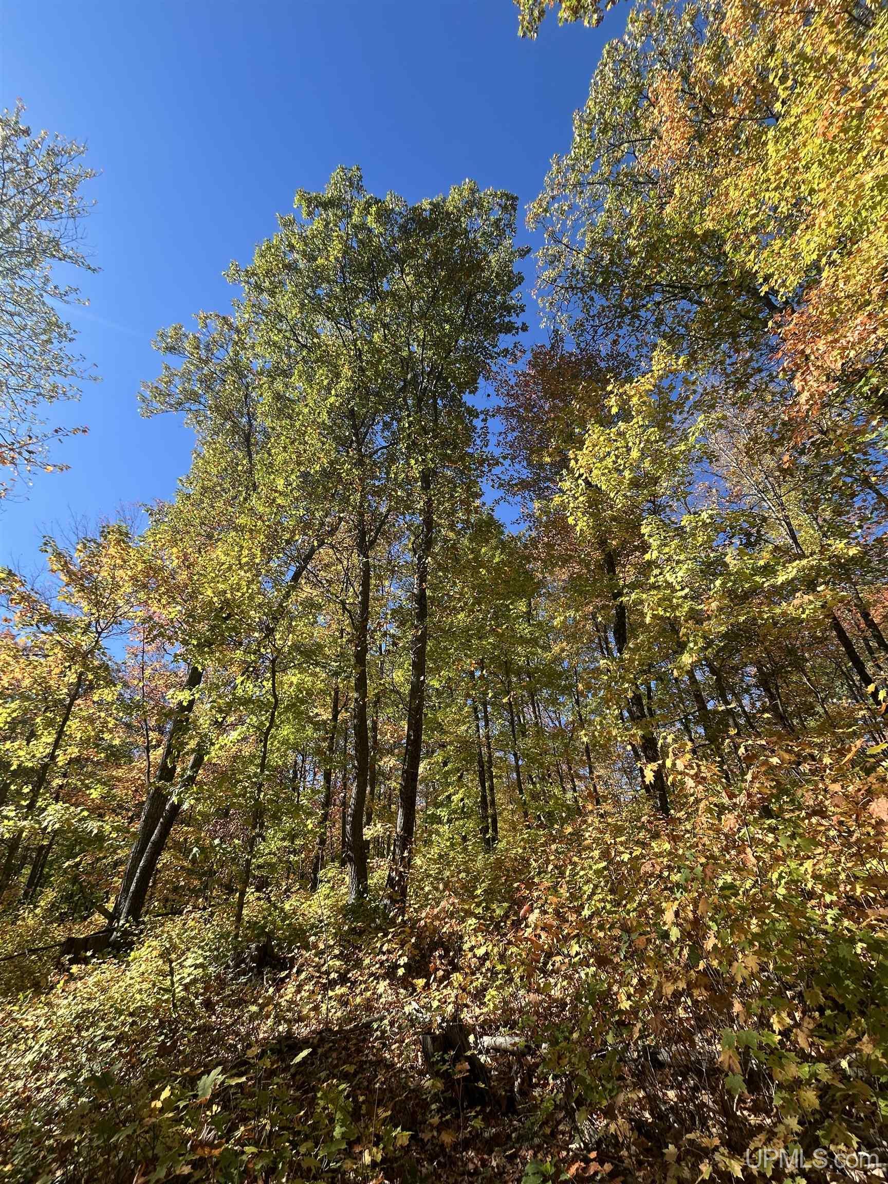 Homes for sale in Negaunee, MI | Parcel 7 Old Co Rd 510 Rd, Negaunee, MI 49866 | MLS# 50103571