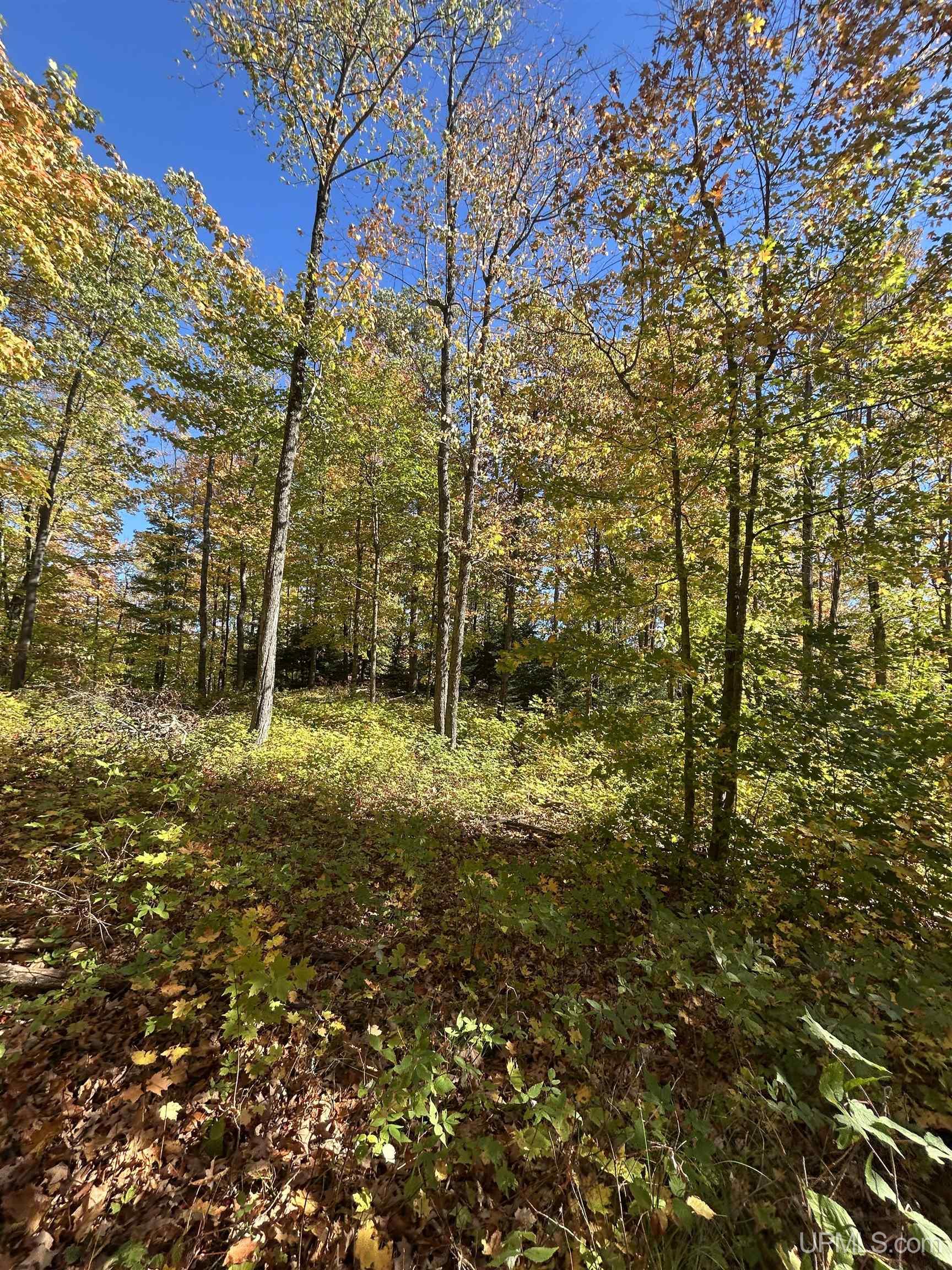 Homes for sale in Negaunee, MI | Parcel 7 Old Co Rd 510 Rd, Negaunee, MI 49866 | MLS# 50103571