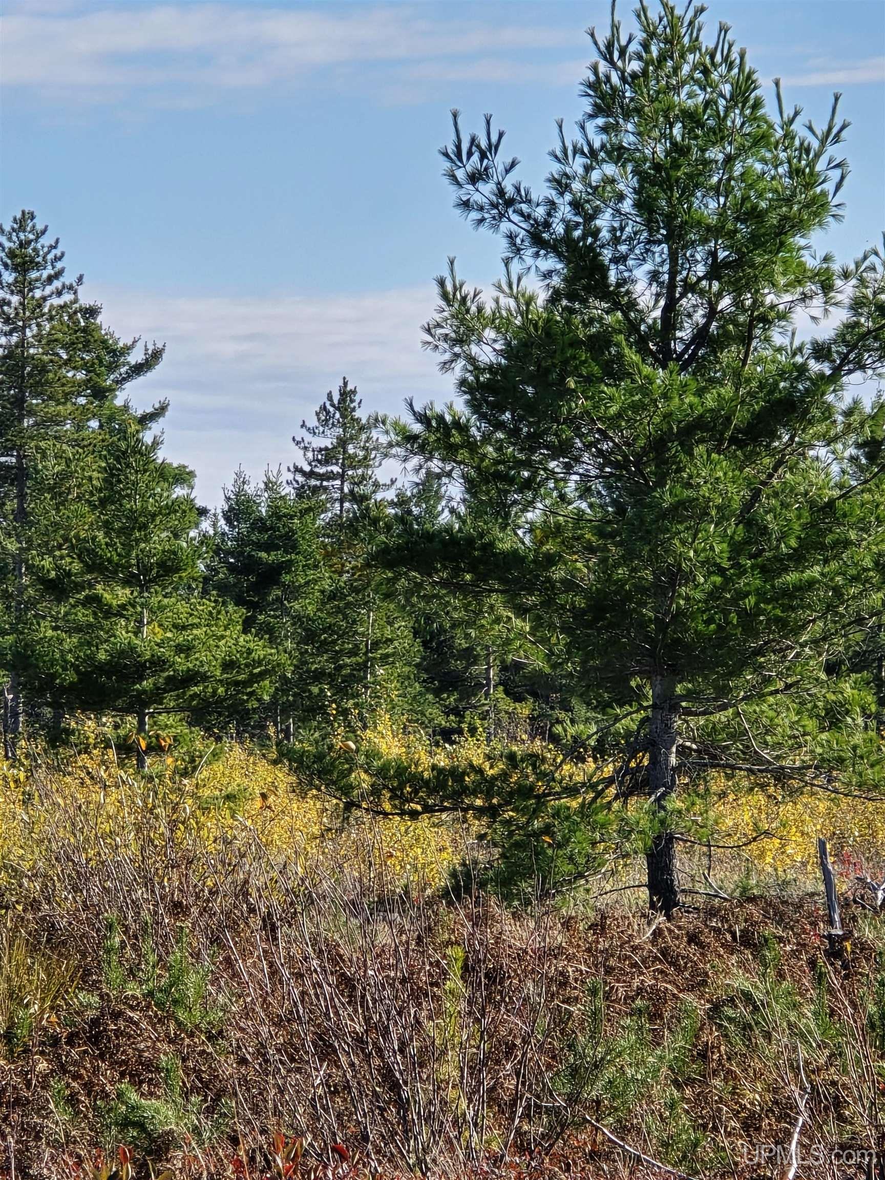 Homes for sale in Big Bay, MI | 240 Acres Co Rd Aaa, Big Bay, MI 49808 | MLS# 50106525