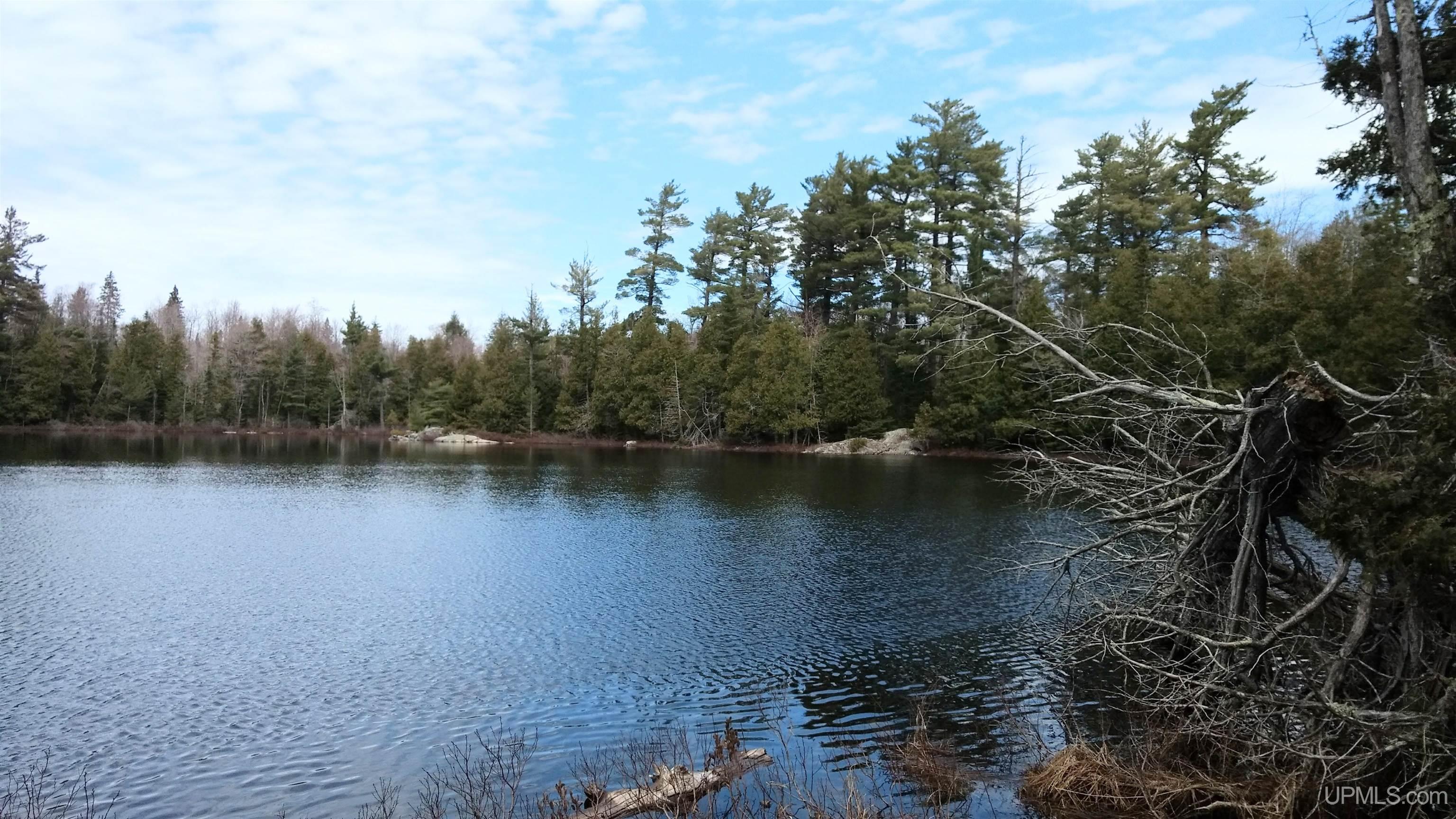 Homes for sale in L'anse, MI | Tbd Durchman Lake Rd, L'anse, MI 49946 | MLS# 50106876