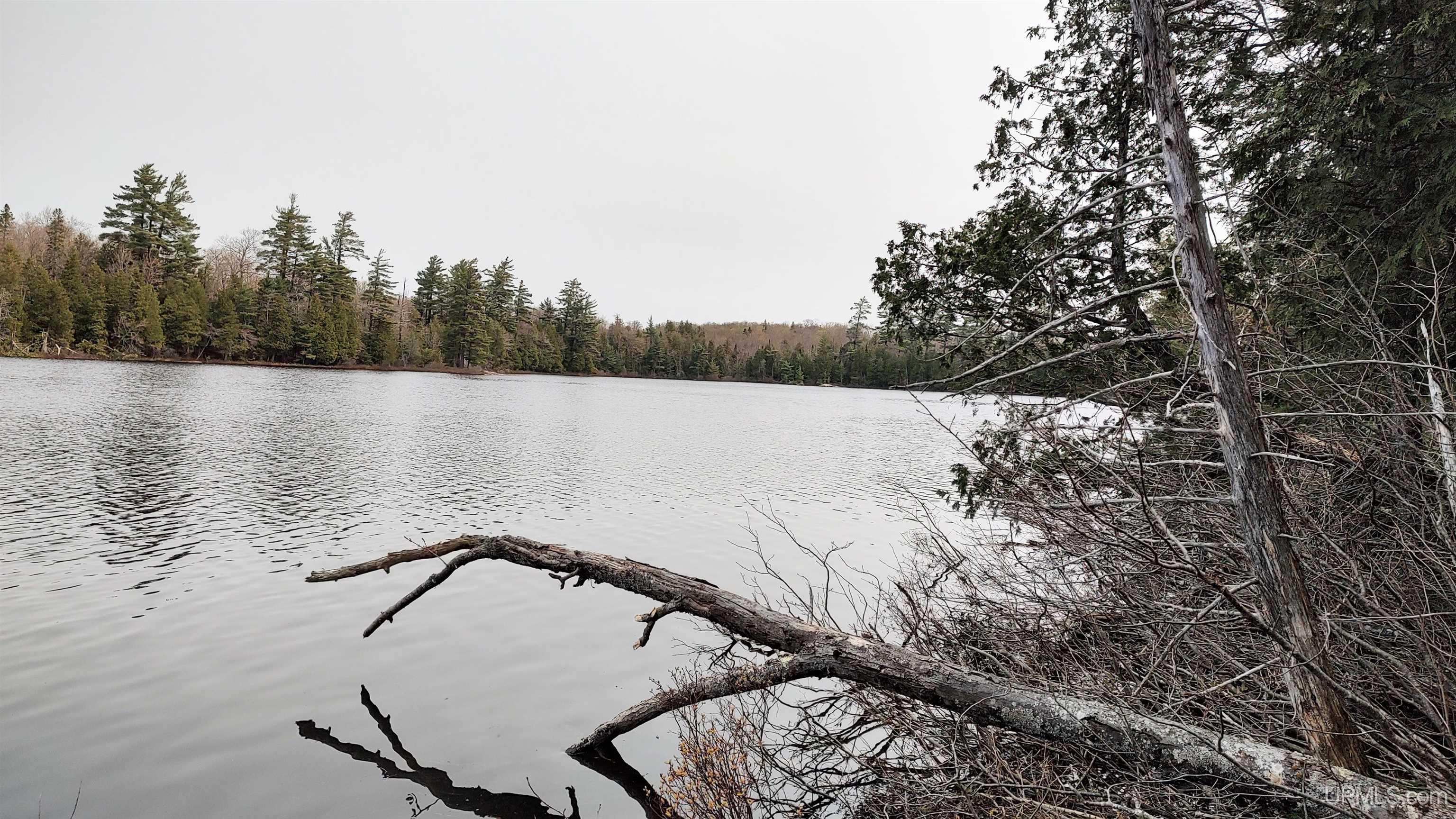 Homes for sale in L'anse, MI | Tbd Durchman Lake Rd, L'anse, MI 49946 | MLS# 50106876