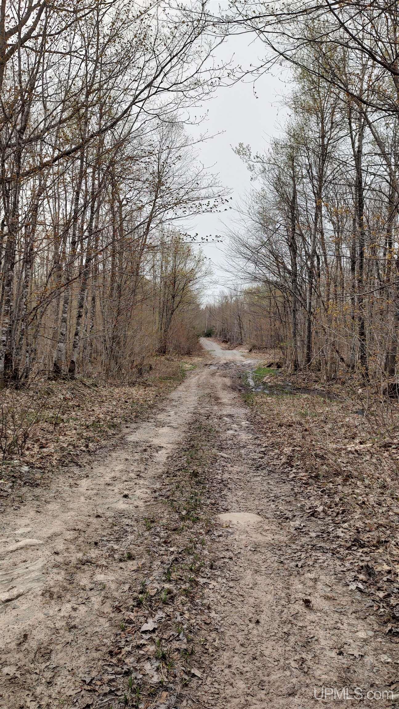 Homes for sale in L'anse, MI | Tbd Durchman Lake Rd, L'anse, MI 49946 | MLS# 50106876