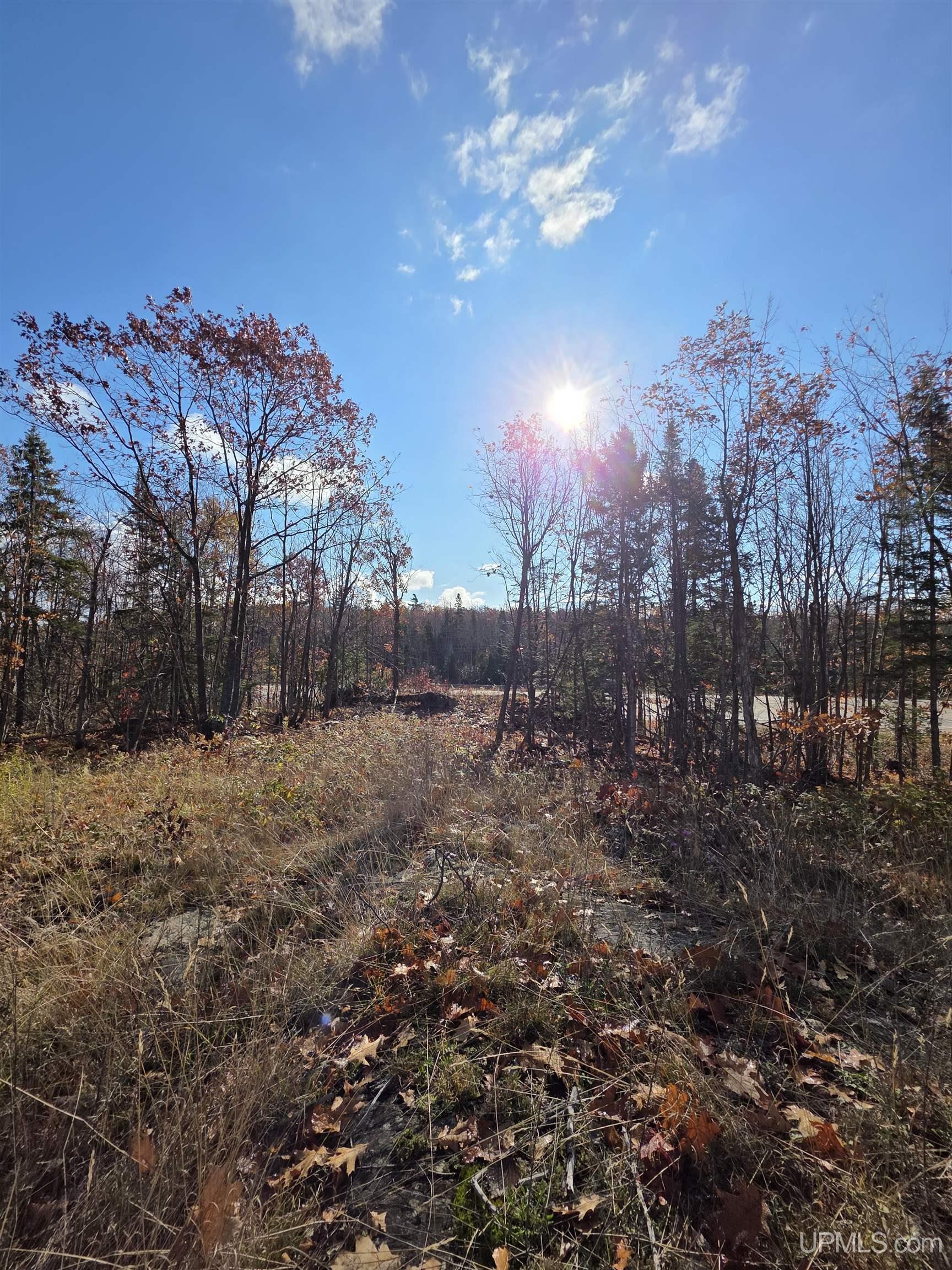 Homes for sale in Negaunee, MI | W Of 327 Us 41 E, Negaunee, MI 49866 | MLS# 50111145