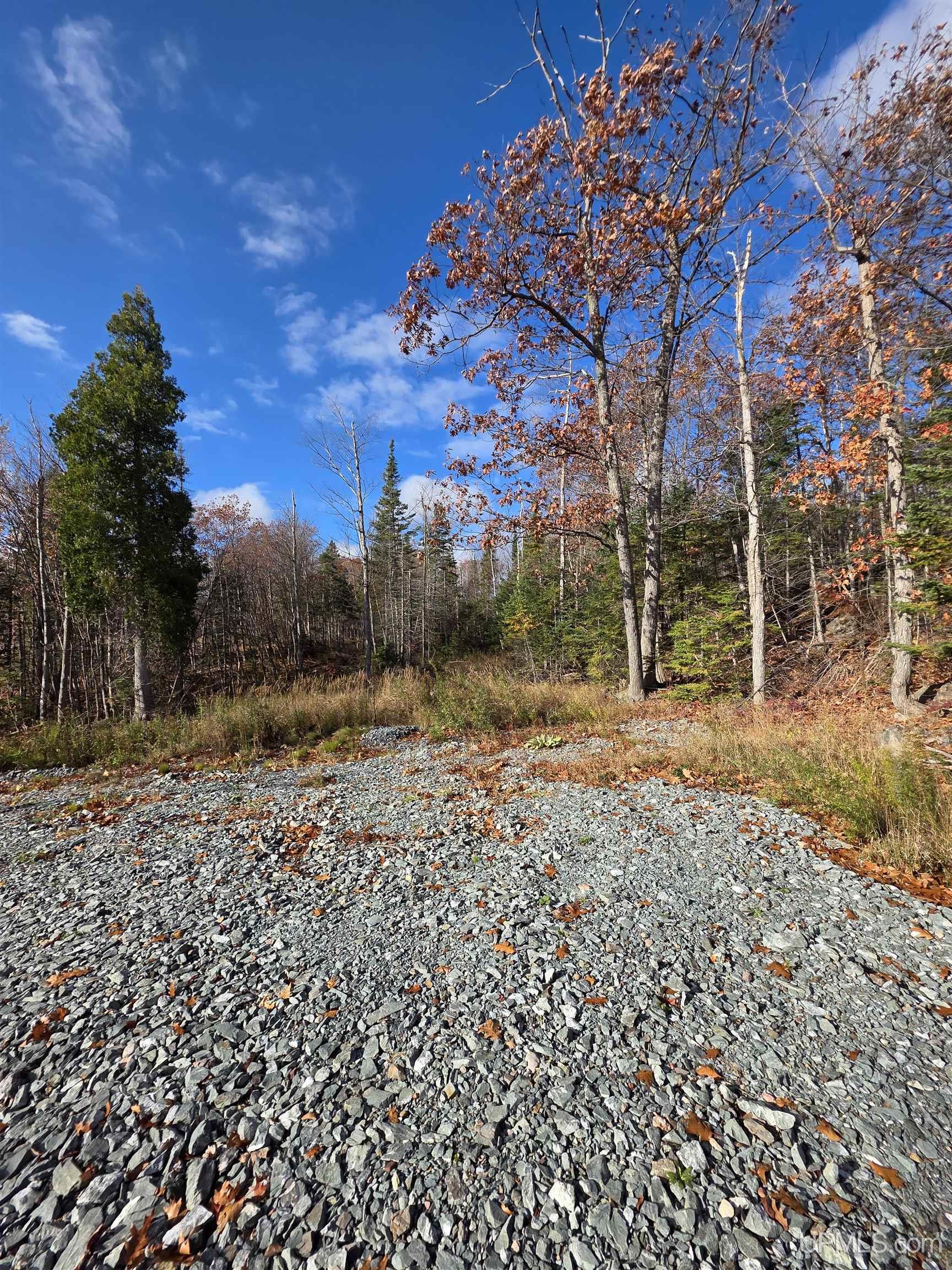 Homes for sale in Negaunee, MI | W Of 327 Us 41 E, Negaunee, MI 49866 | MLS# 50111145