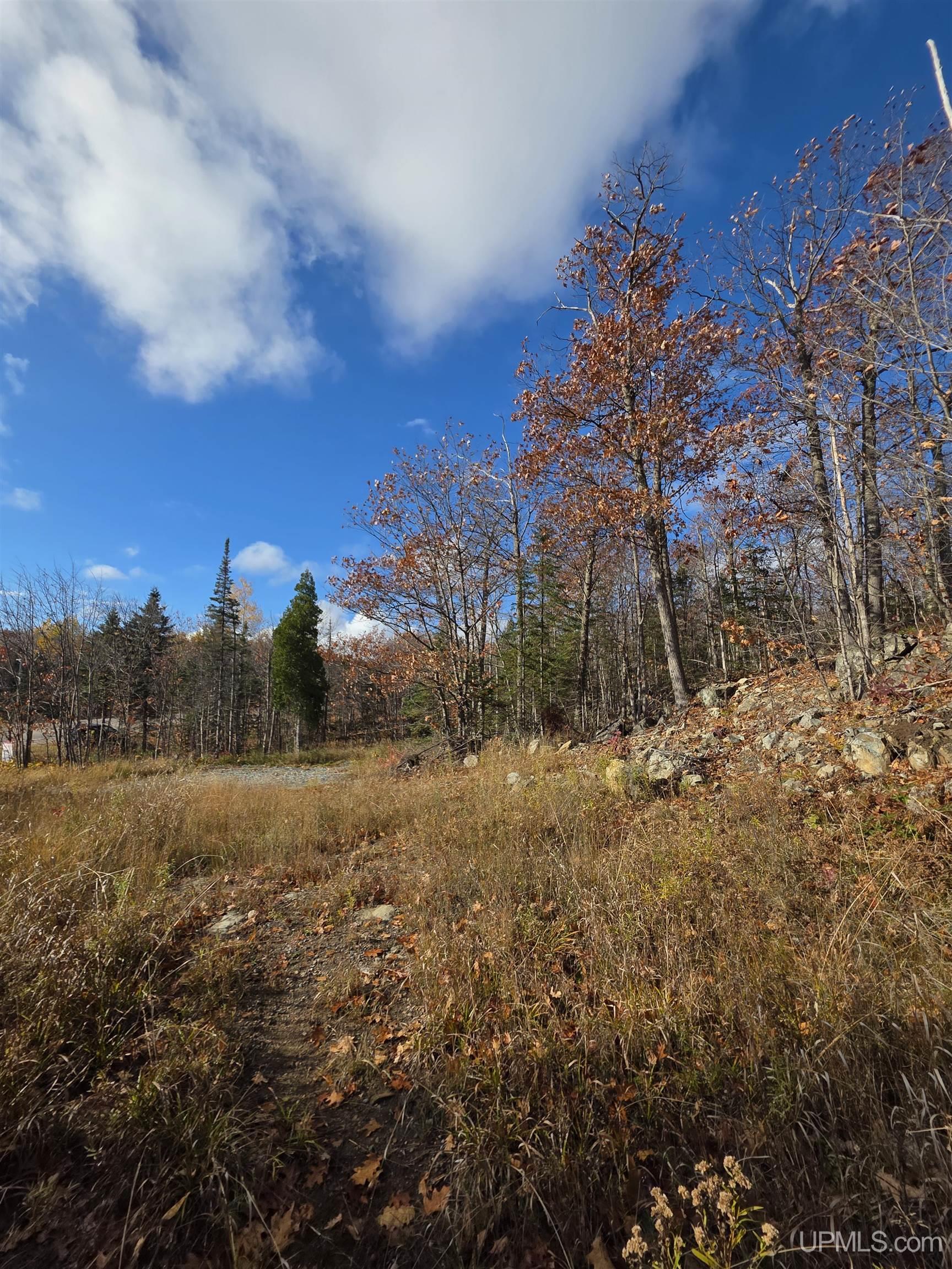 Homes for sale in Negaunee, MI | W Of 327 Us 41 E, Negaunee, MI 49866 | MLS# 50111145