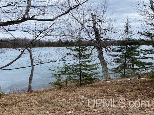 Homes for sale in Crystal Falls, MI | Lot 7 E East Maggie Point Rd, Crystal Falls, MI 49920 | MLS# 50136074
