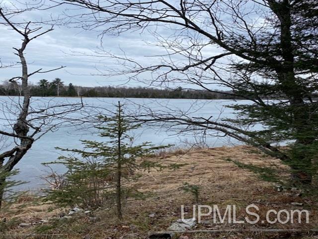 Homes for sale in Crystal Falls, MI | Lot 7 E East Maggie Point Rd, Crystal Falls, MI 49920 | MLS# 50136074