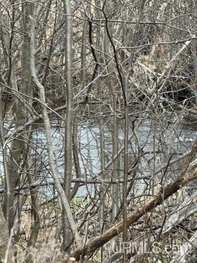 Homes for sale in Caspian, MI | Tbd Mcgillis Ave, Caspian, MI 49915 | MLS# 50140379