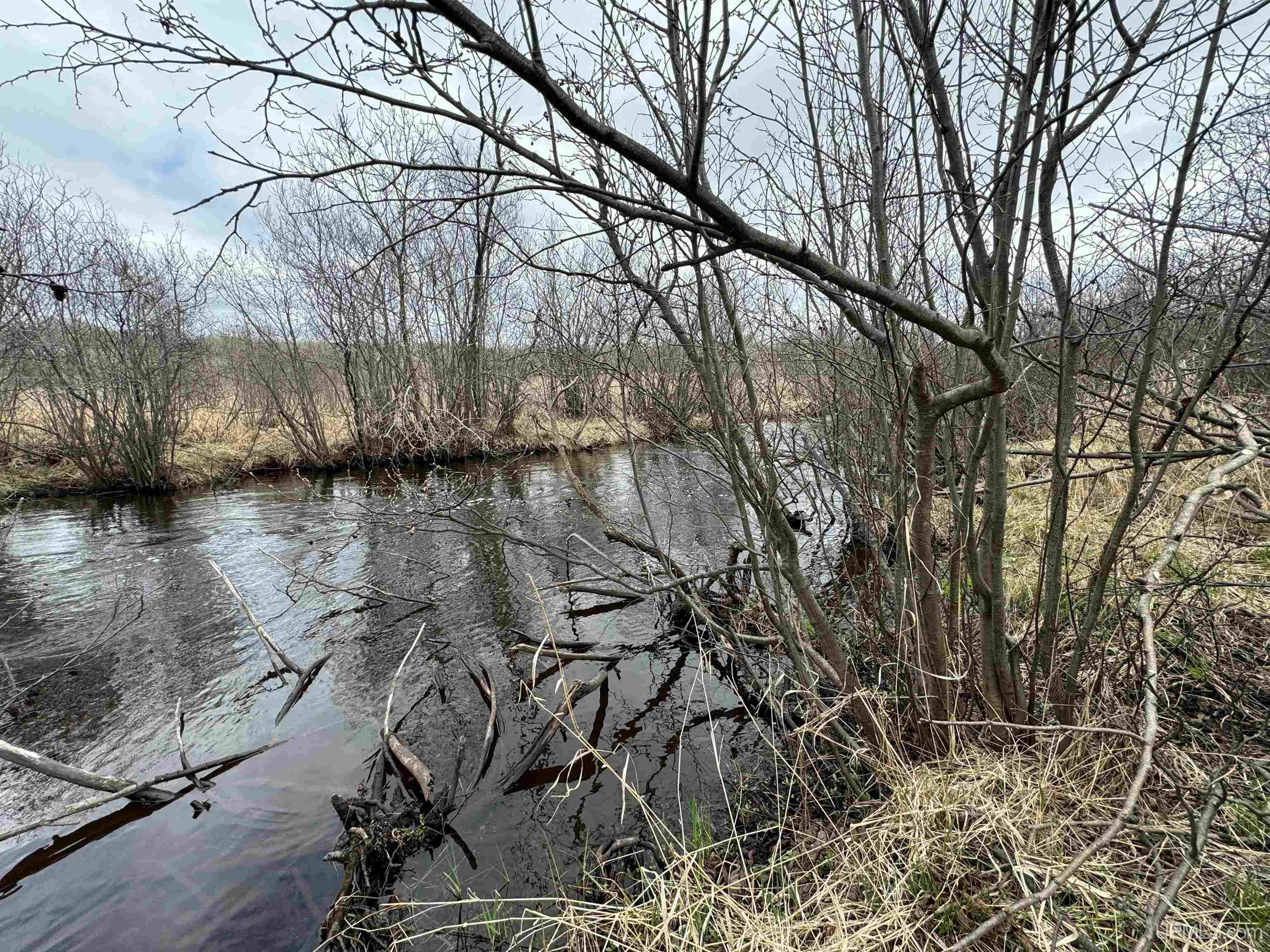 Homes for sale in Caspian, MI | Tbd Mcgillis Ave, Caspian, MI 49915 | MLS# 50140379