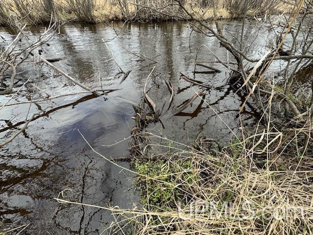 Homes for sale in Caspian, MI | Tbd Mcgillis Ave, Caspian, MI 49915 | MLS# 50140379