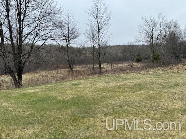 Homes for sale in Caspian, MI | Tbd Mcgillis Ave, Caspian, MI 49915 | MLS# 50140379