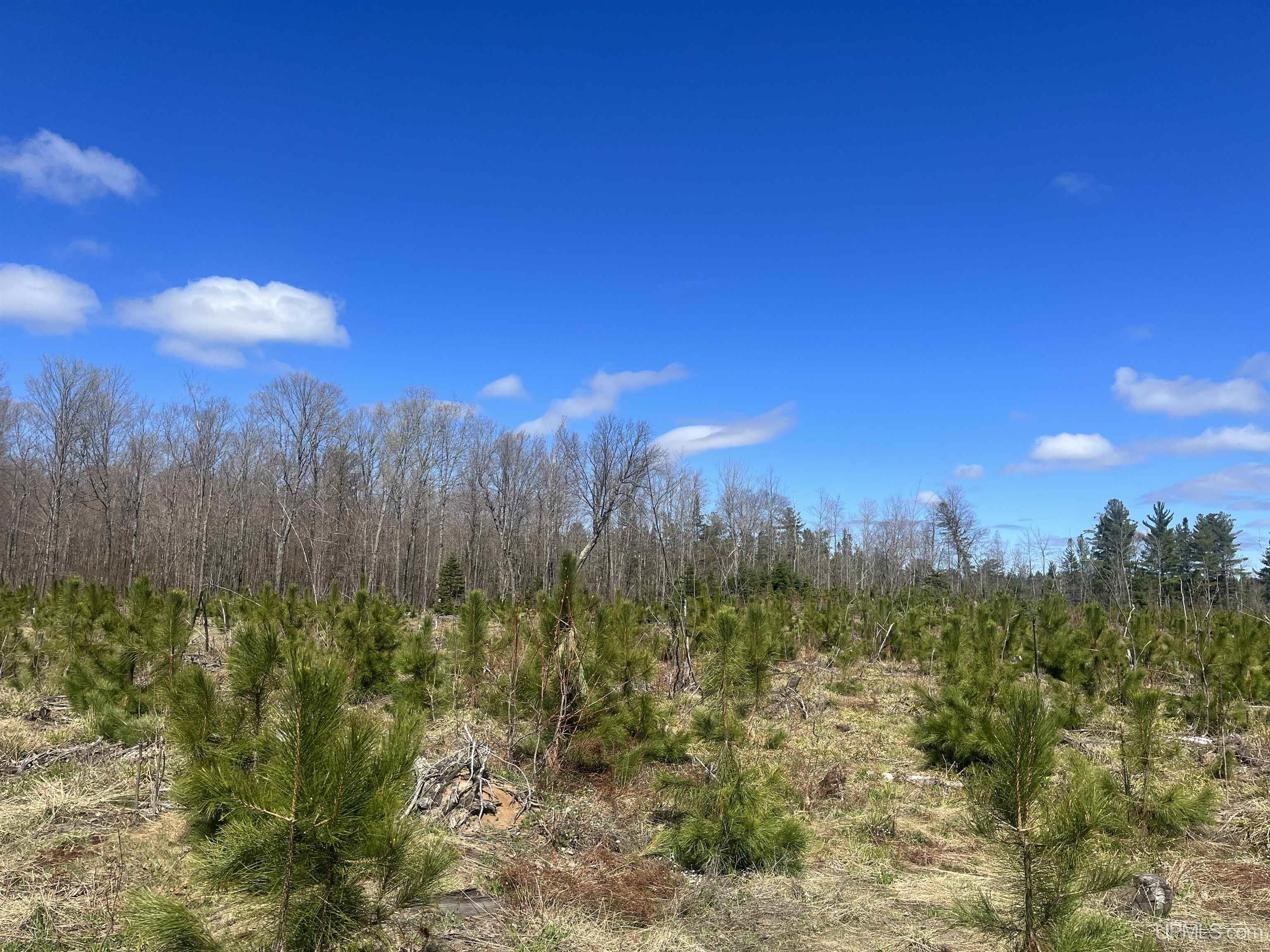 Listing #50141620 Michigamme