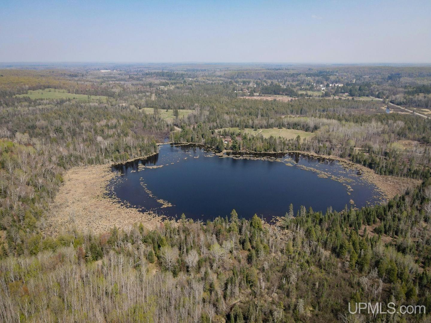 Homes for sale in Amasa, MI | Tbd Parks Farm Rd, Amasa, MI 49903 | MLS# 50141923