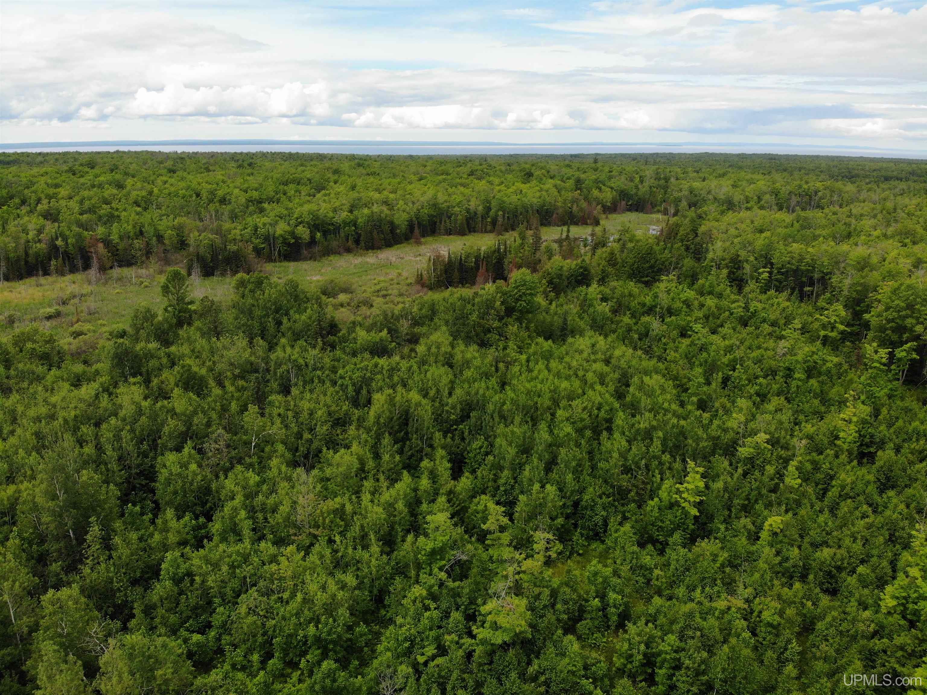 TBD40 Karschney Road, L’Anse MI 49946 (MLS 50147532) Statewide of