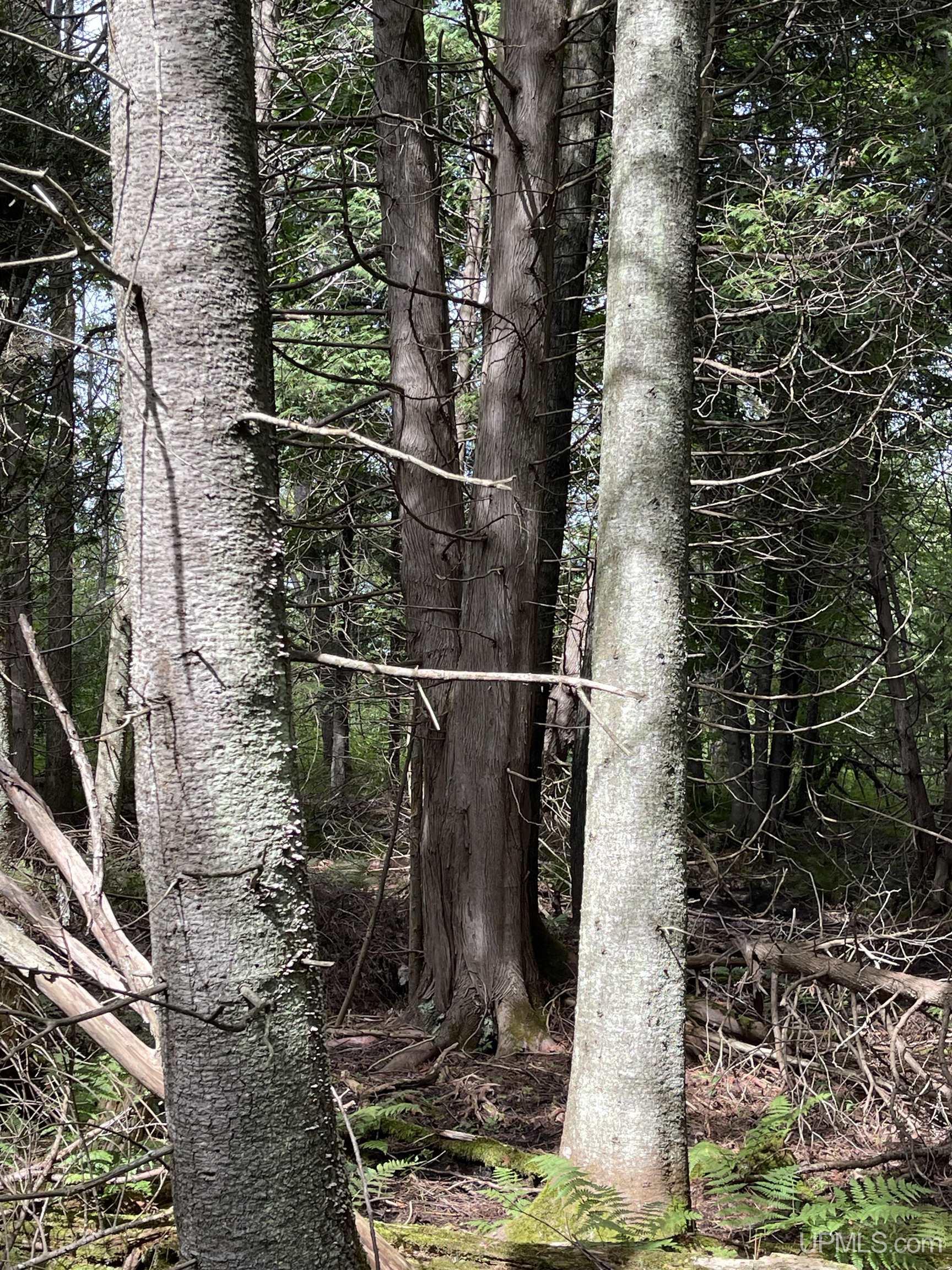 Homes for sale in Covington, MI | 26497 Us 41 Rd, Covington, MI 49919 | MLS# 50155309