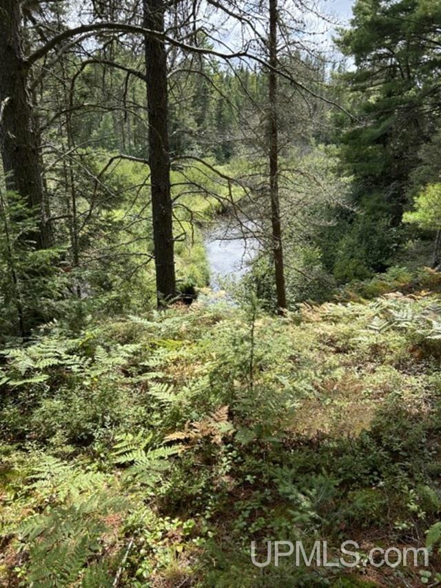 Homes for sale in Ishpeming, MI | 170 Acres Off Cr 573 Rd, Ishpeming, MI 49849 | MLS# 50155538