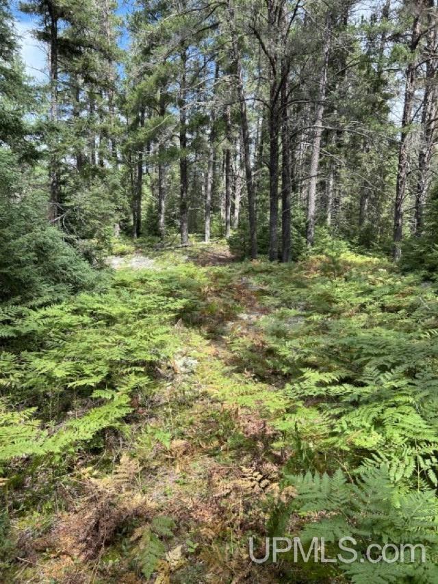 Homes for sale in Ishpeming, MI | 170 Acres Off Cr 573 Rd, Ishpeming, MI 49849 | MLS# 50155538