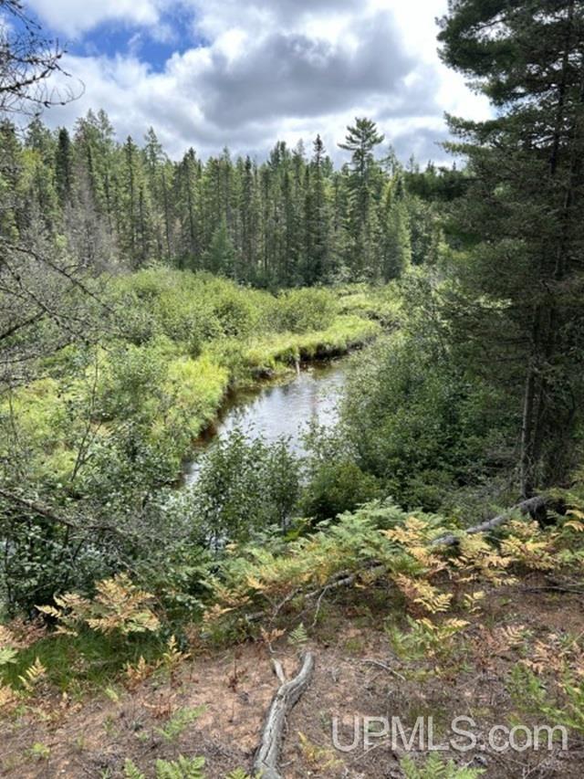 Homes for sale in Ishpeming, MI | 170 Acres Off Cr 573 Rd, Ishpeming, MI 49849 | MLS# 50155538