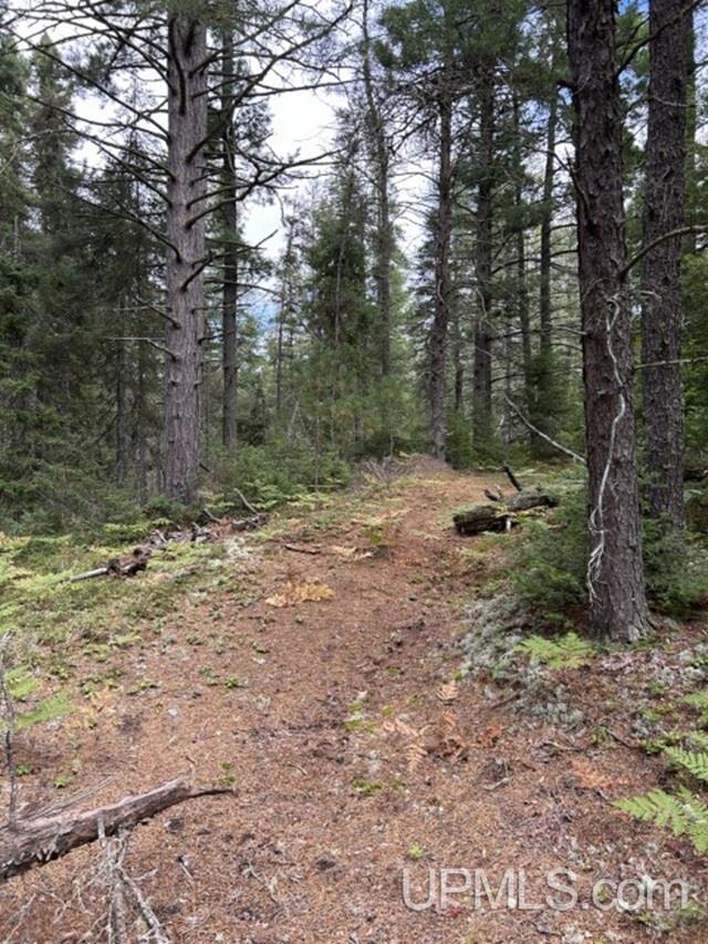 Homes for sale in Ishpeming, MI | 170 Acres Off Cr 573 Rd, Ishpeming, MI 49849 | MLS# 50155538