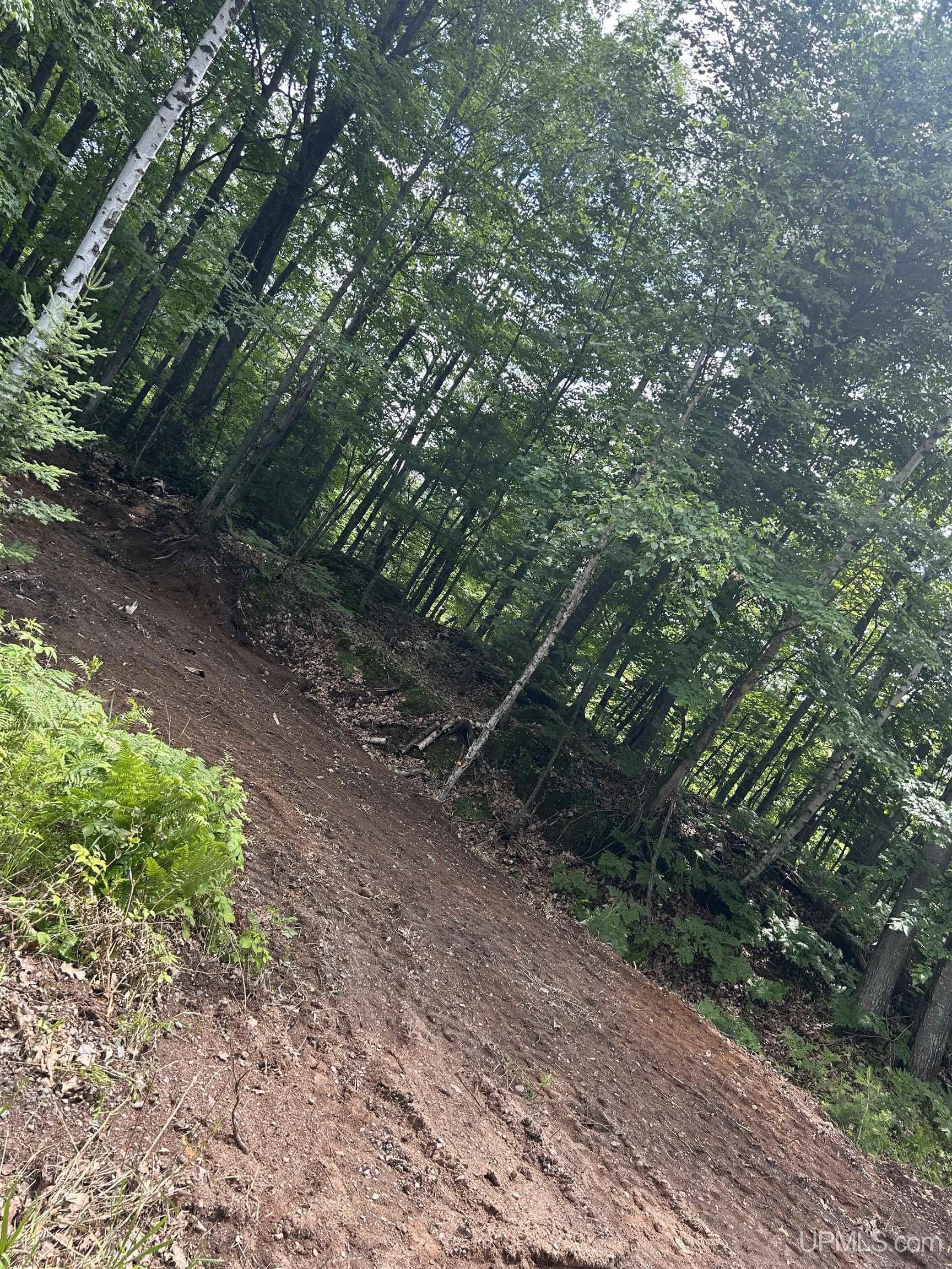 Homes for sale in Negaunee, MI | Tbd Mcclure Dam Rd, Negaunee, MI 49866 | MLS# 50155868