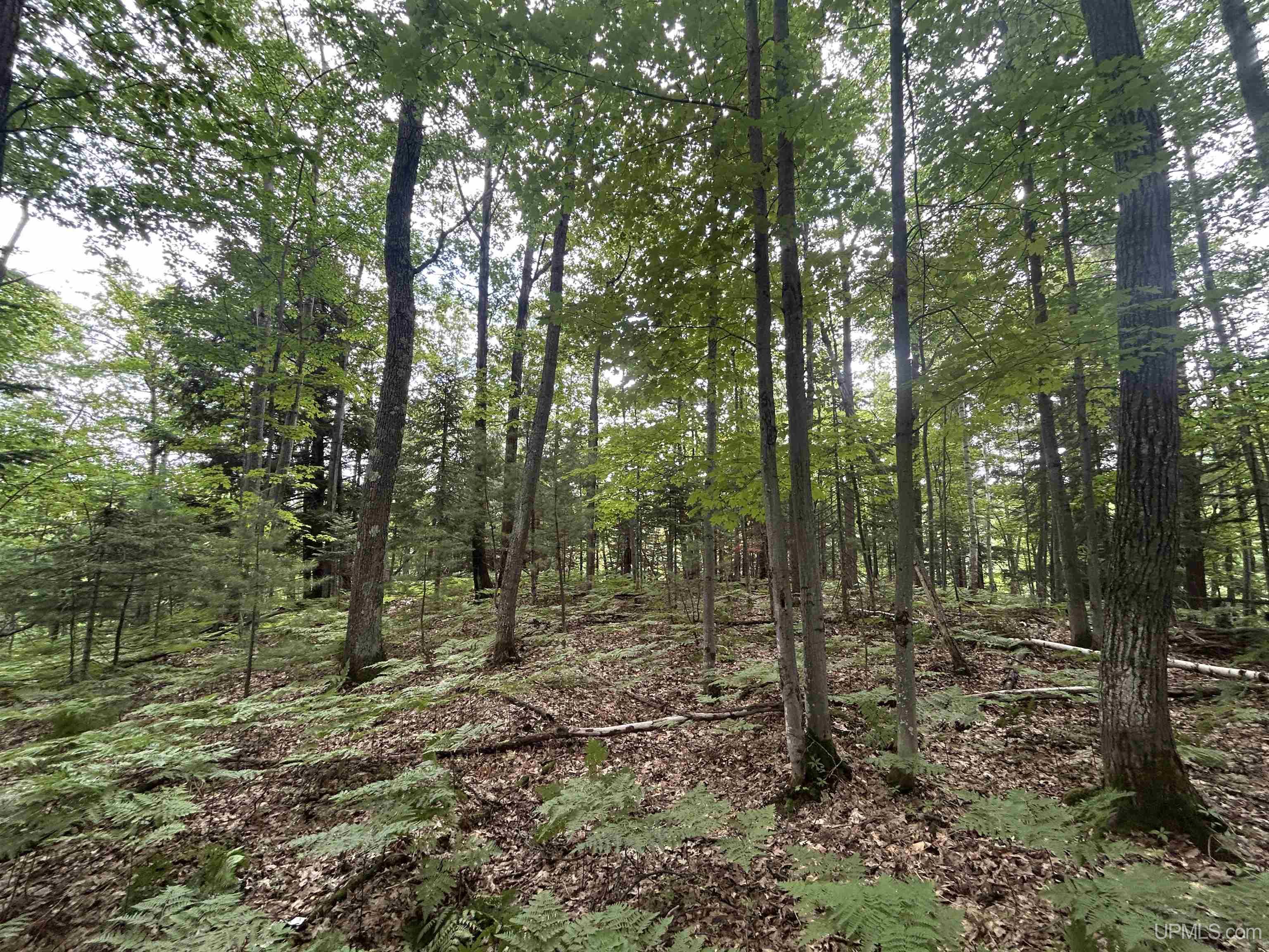 Homes for sale in Negaunee, MI | Tbd Mcclure Dam Rd, Negaunee, MI 49866 | MLS# 50155868