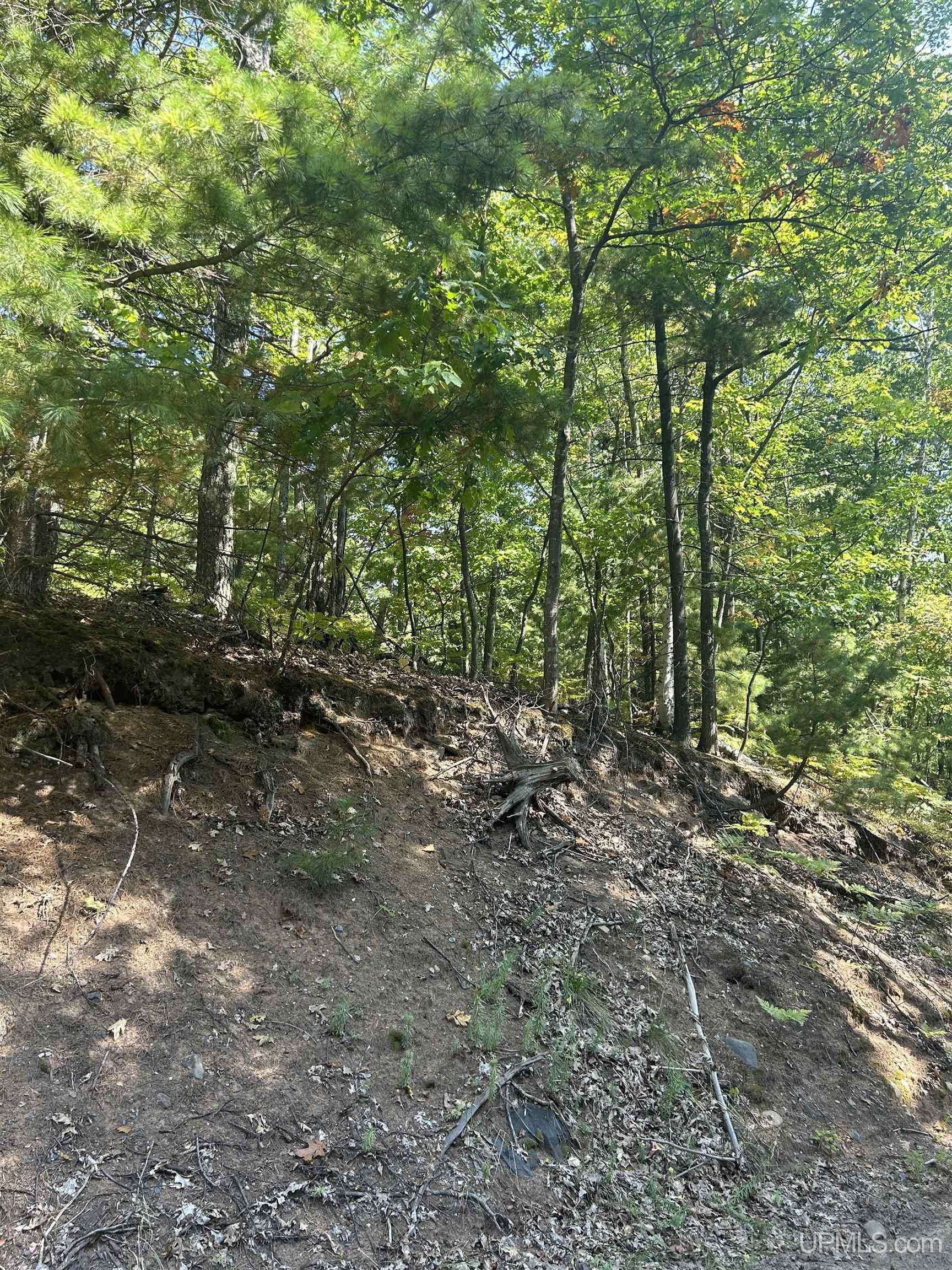 Homes for sale in Negaunee, MI | Tbd Mcclure Dam Rd, Negaunee, MI 49866 | MLS# 50155868