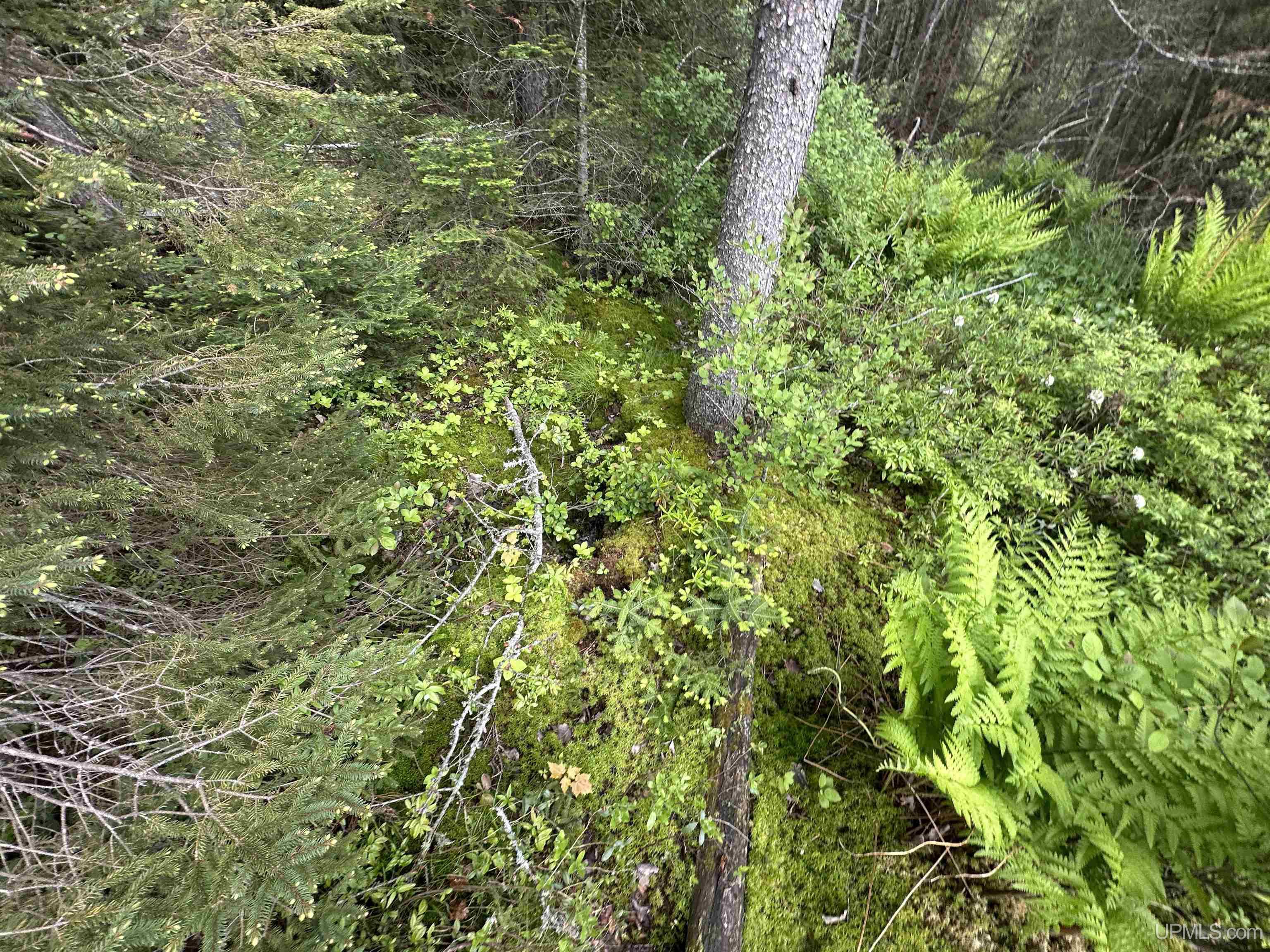 Homes for sale in Negaunee, MI | Tbd Mcclure Dam Rd, Negaunee, MI 49866 | MLS# 50155868