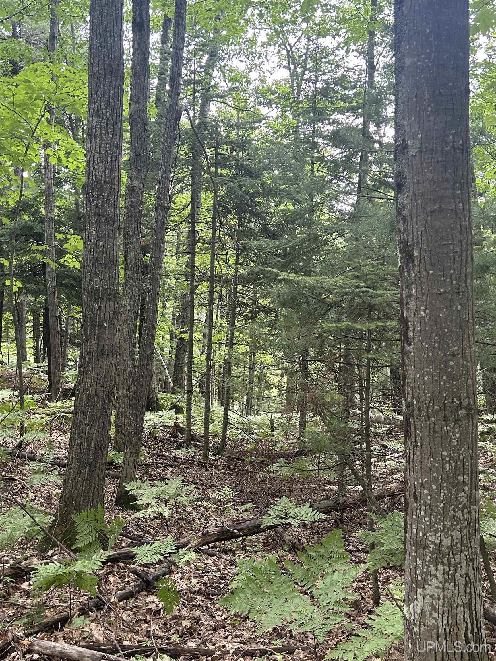 Homes for sale in Negaunee, MI | Tbd Mcclure Dam Rd, Negaunee, MI 49866 | MLS# 50155868