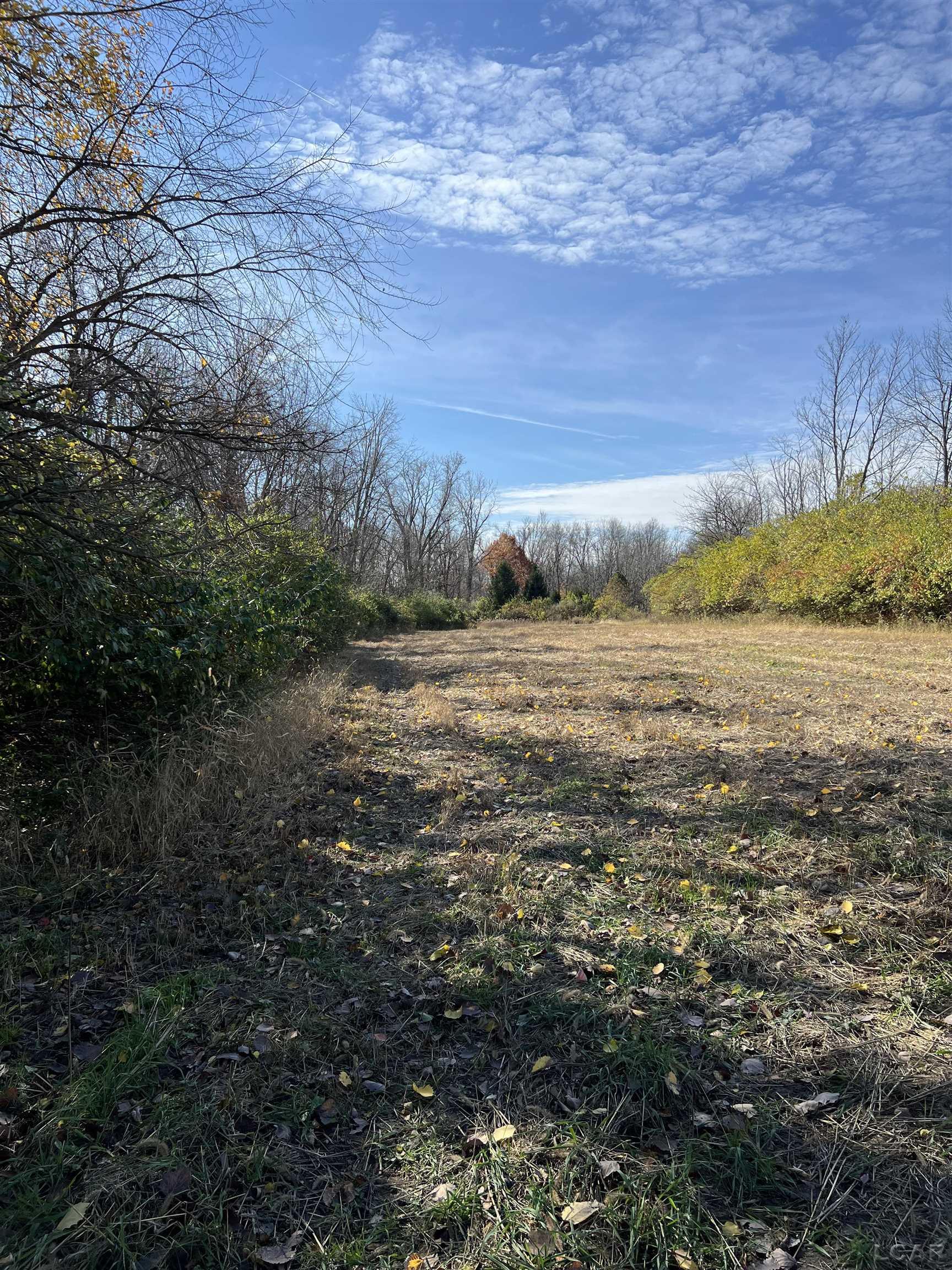 Homes for sale in Clayton, MI | 6000 Tomer Rd, Clayton, MI 49235 | MLS# 50157861