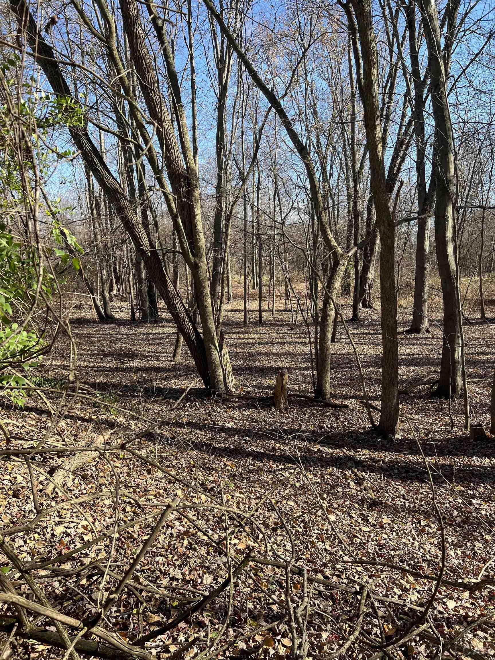 Homes for sale in Clayton, MI | 6000 Tomer Rd, Clayton, MI 49235 | MLS# 50157861