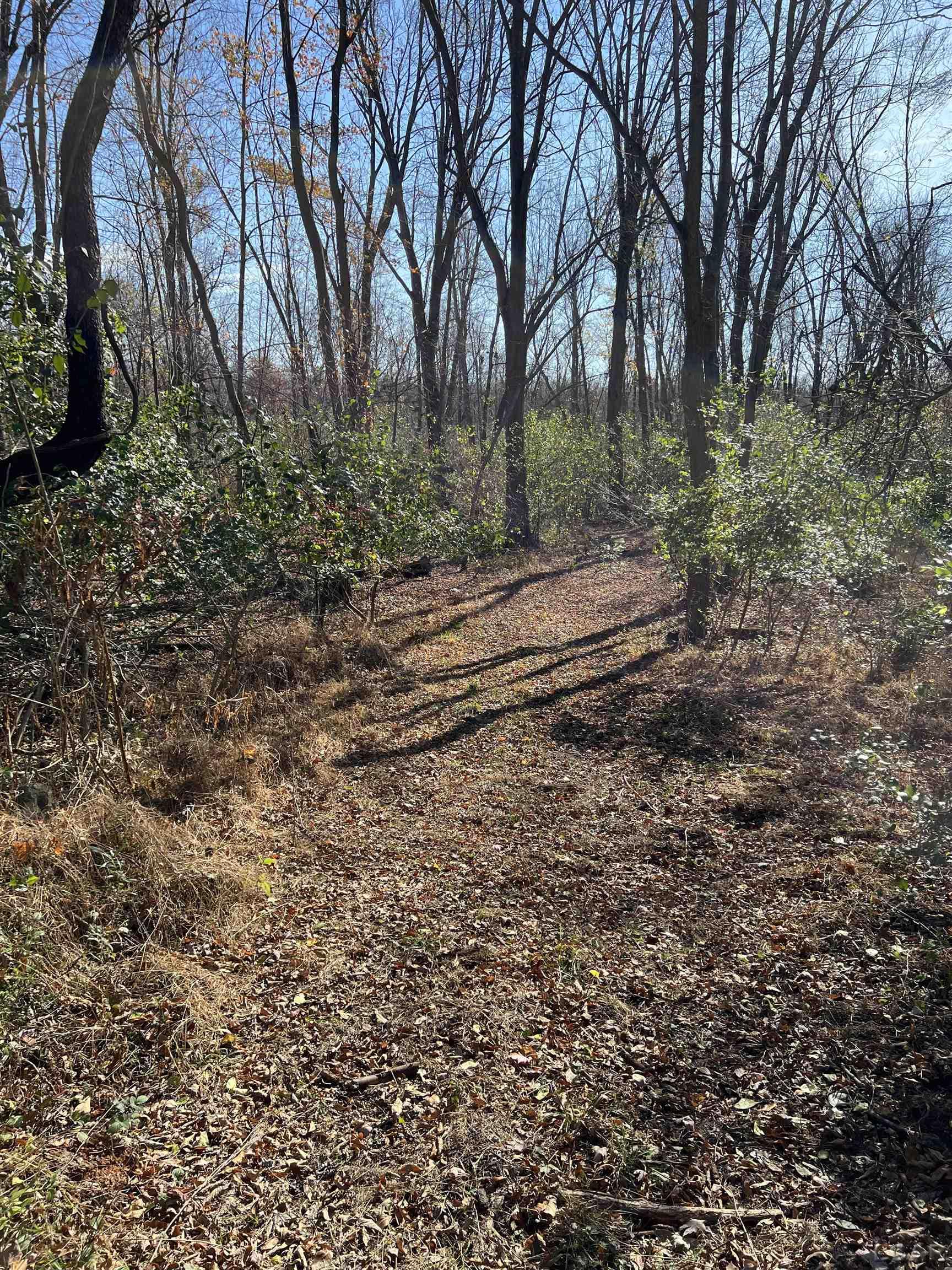 Homes for sale in Clayton, MI | 6000 Tomer Rd, Clayton, MI 49235 | MLS# 50157861