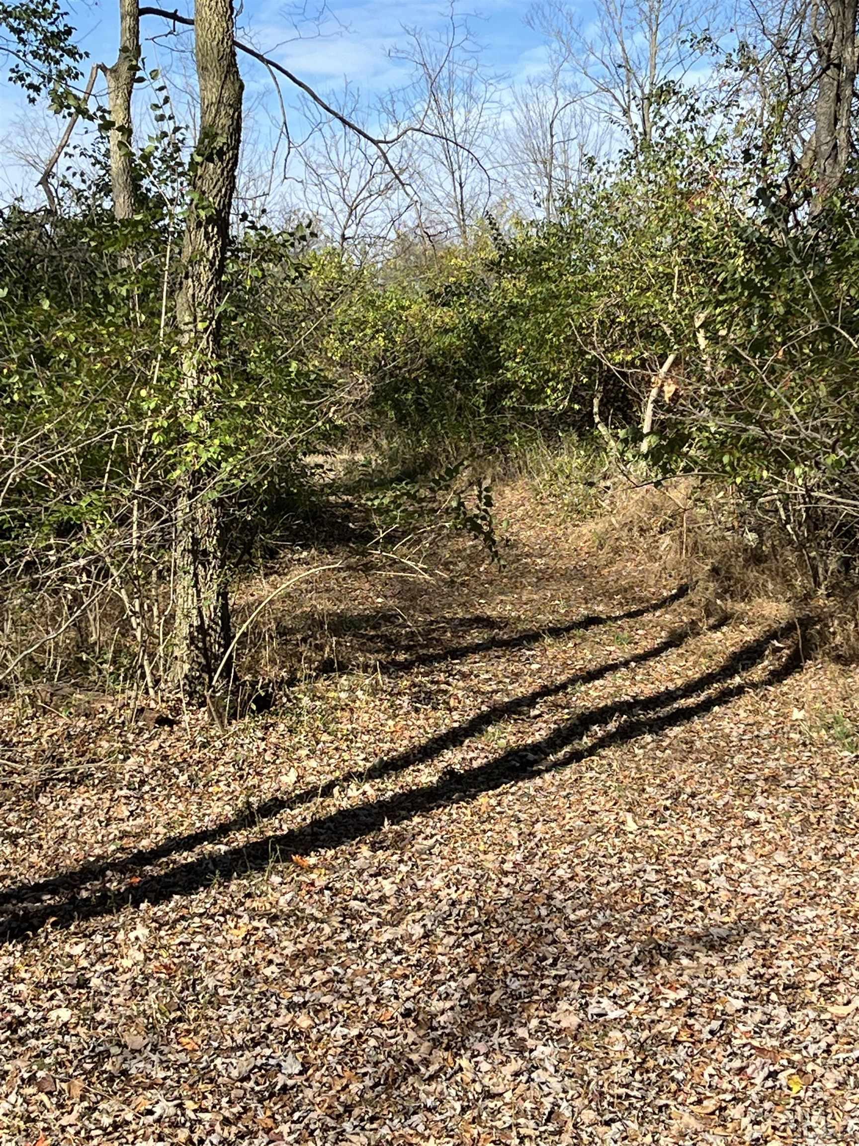 Homes for sale in Clayton, MI | 6000 Tomer Rd, Clayton, MI 49235 | MLS# 50157861