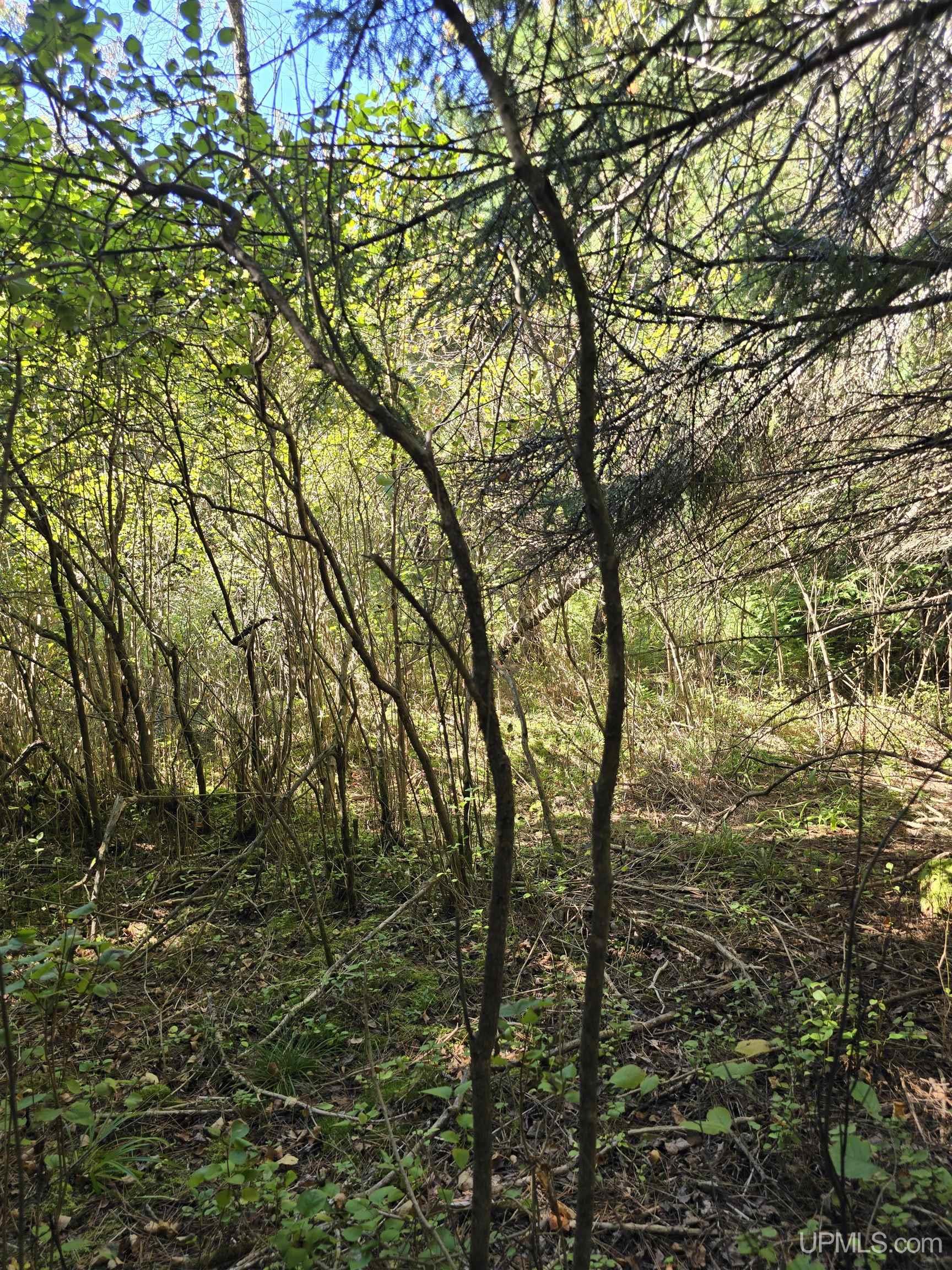 Homes for sale in Atlantic Mine, MI | Unit 16 Liminga Rd, Atlantic Mine, MI 49905 | MLS# 50157879