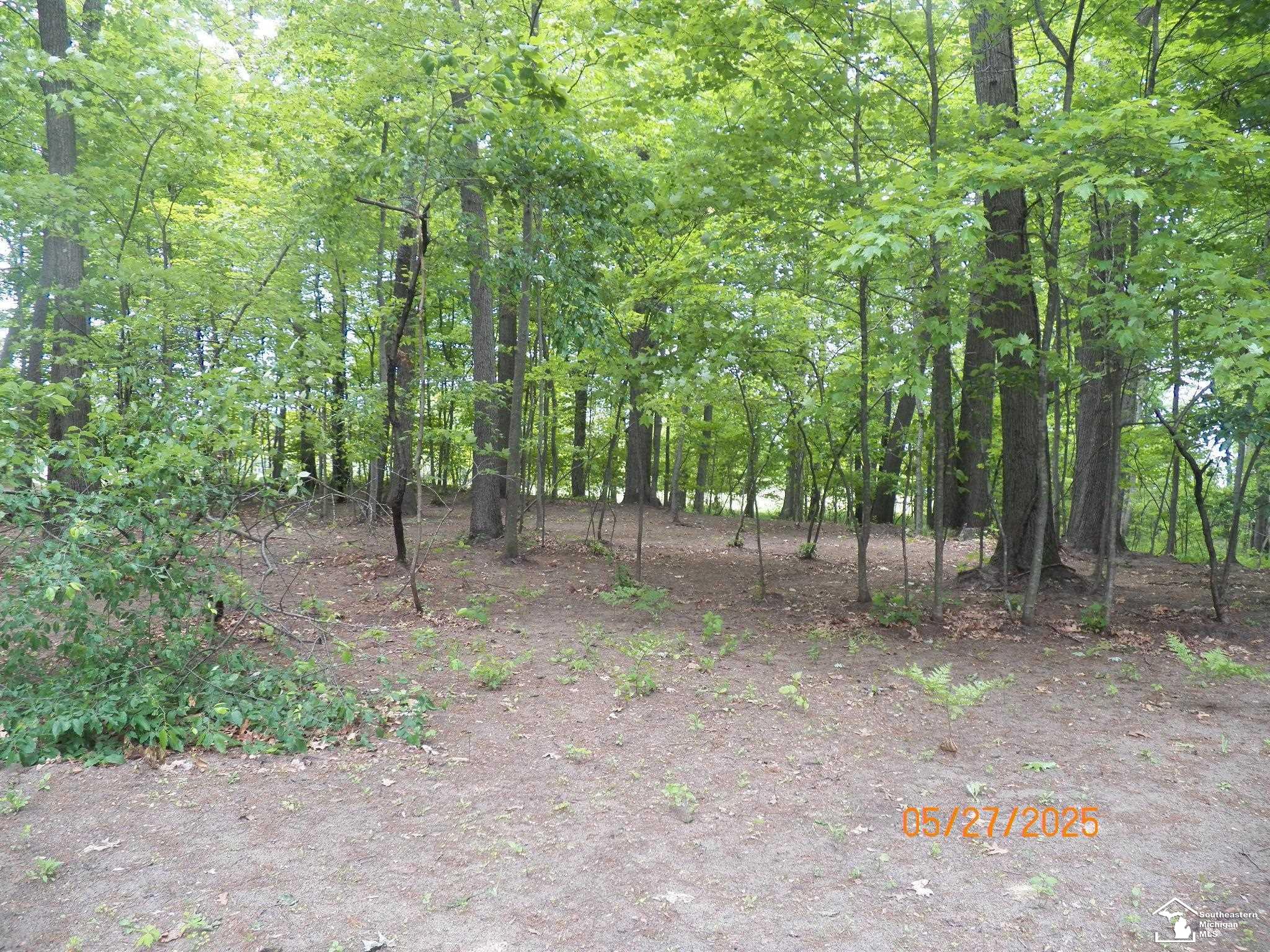 Homes for sale in Petersburg, MI | 2600 Meanwell Rd, Petersburg, MI 49270 | MLS# 50160888