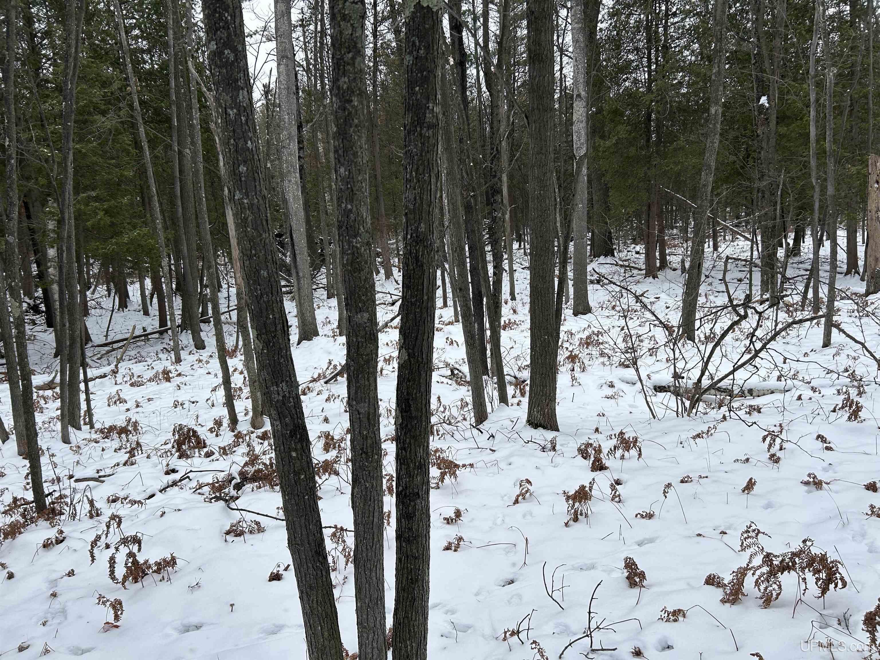 Homes for sale in Norway, MI | Tbd Us 2 Hwy, Norway, MI 49870 | MLS# 50163068