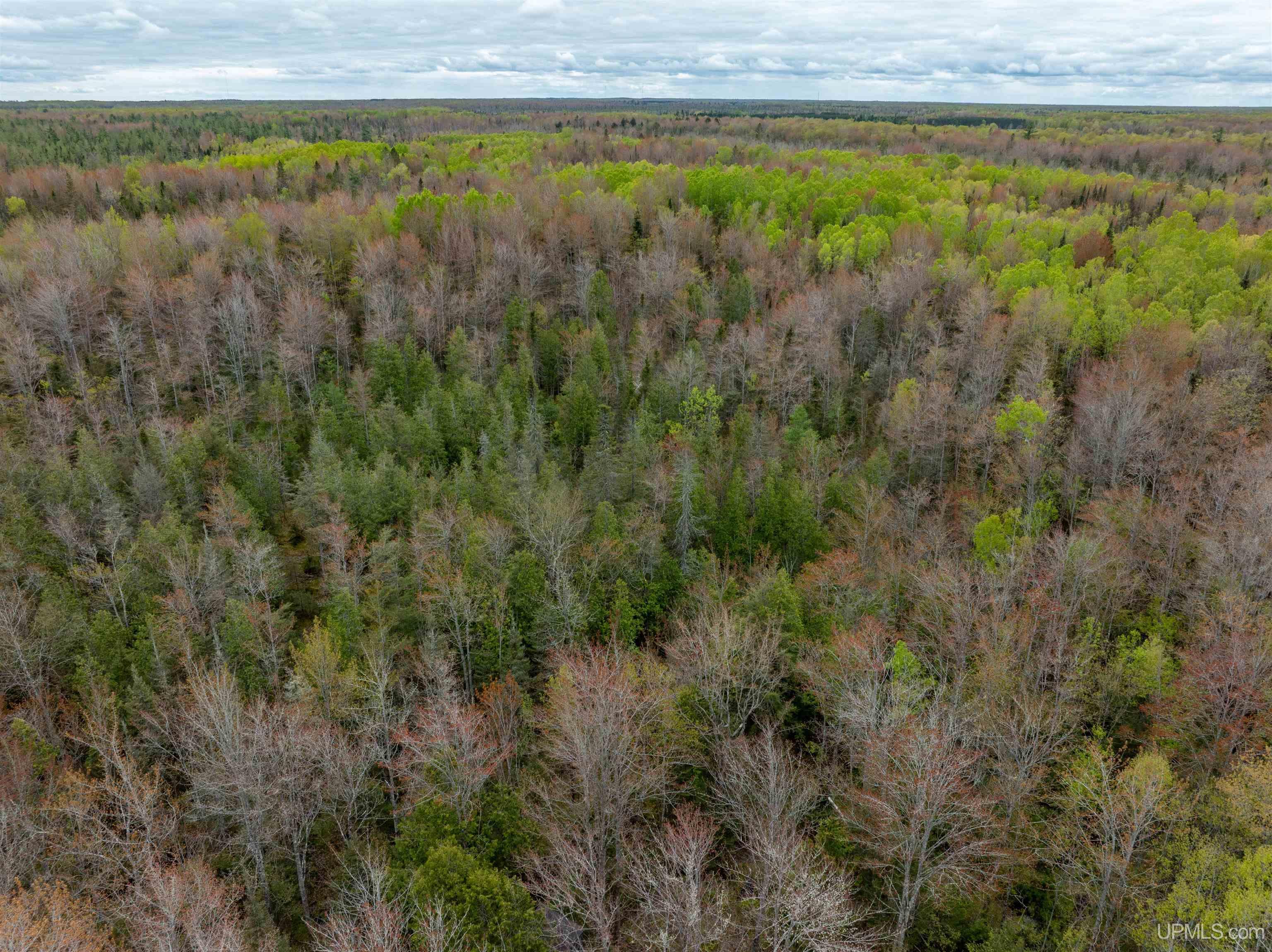 Homes for sale in Chatham, MI | Tbd M67 Hwy, Chatham, MI 49816 | MLS# 50163479