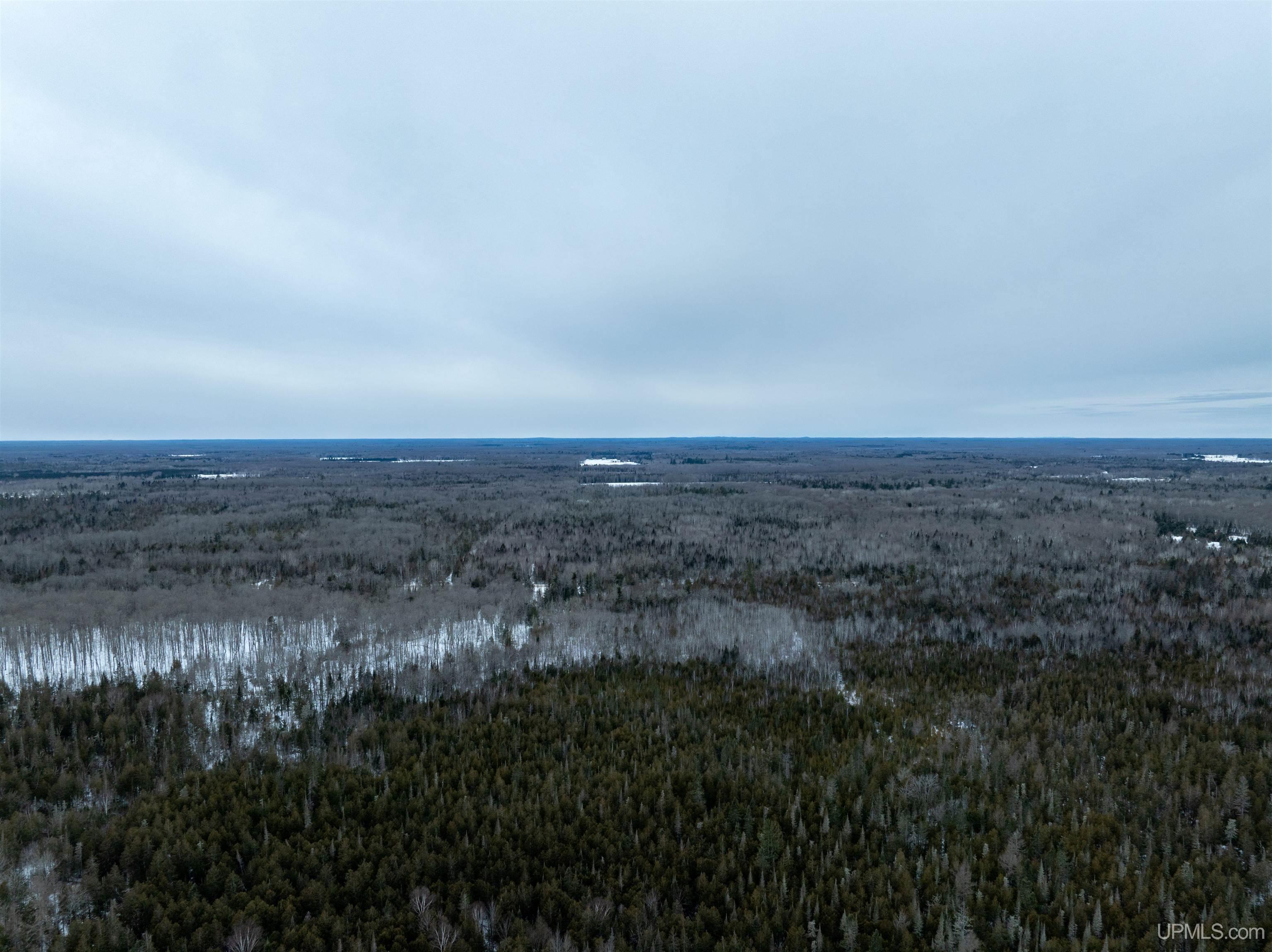 Homes for sale in Chatham, MI | Tbd M67 Hwy, Chatham, MI 49816 | MLS# 50163479