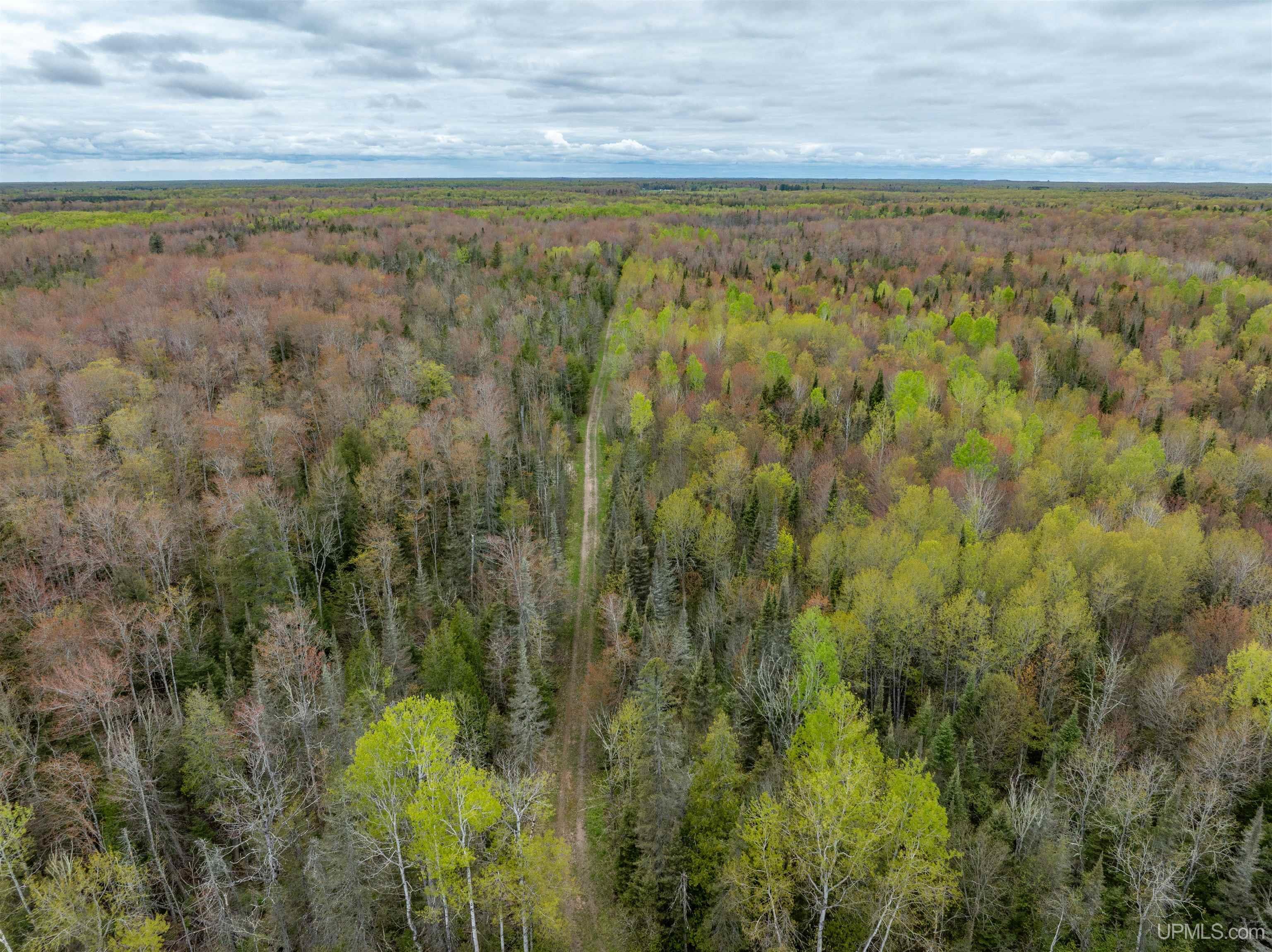 Homes for sale in Chatham, MI | Tbd M67 Hwy, Chatham, MI 49816 | MLS# 50163479