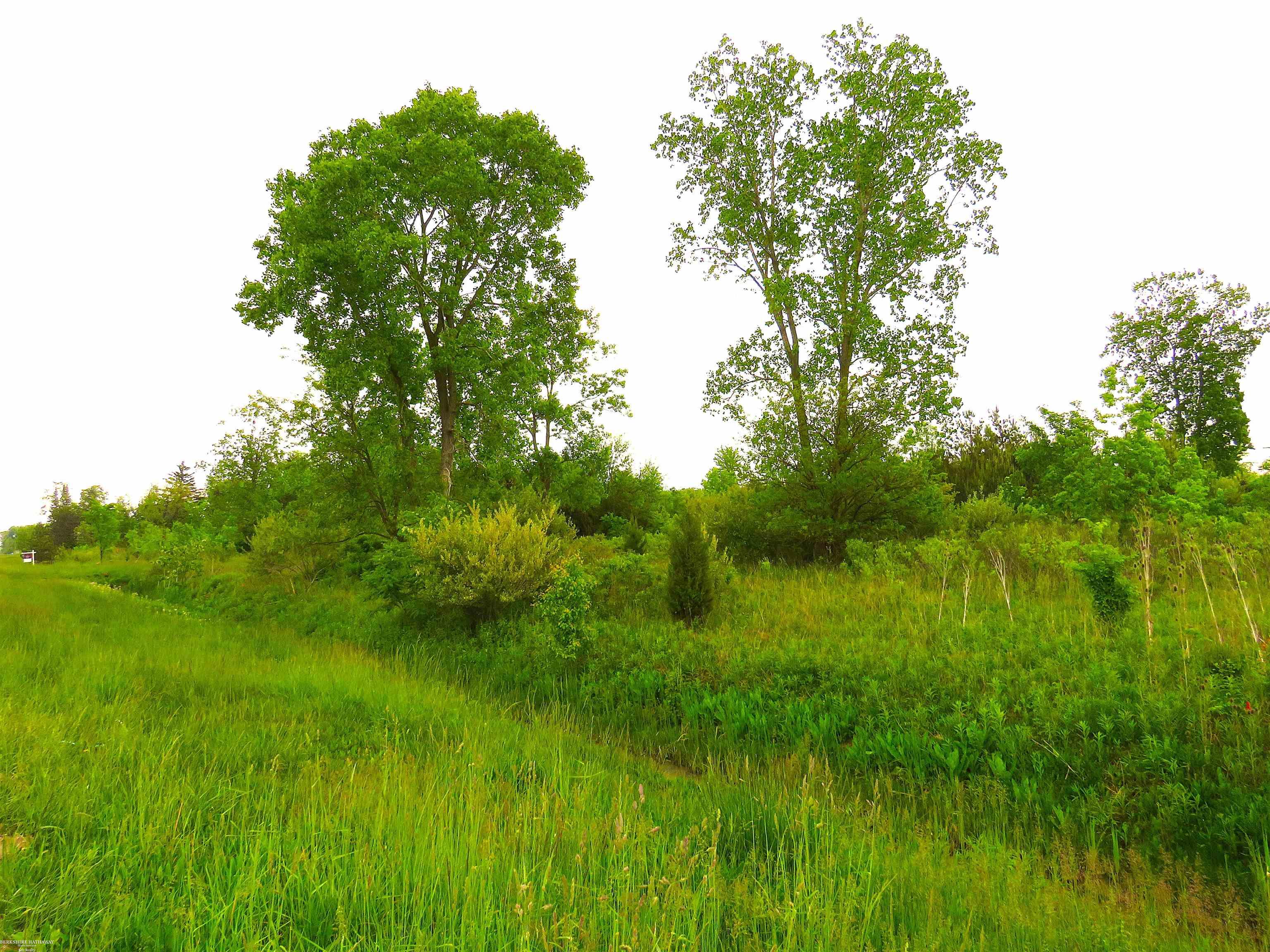 Homes for sale in New Haven, MI | 65002 Gratiot Rd, New Haven, MI 48050 | MLS# 50164094