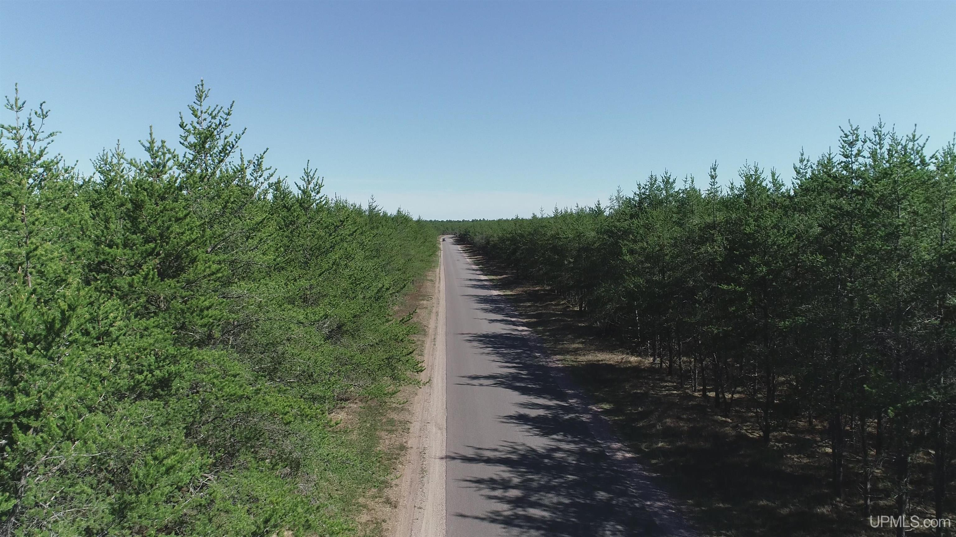 Homes for sale in Gwinn, MI | Parcel 4 Rice Lake Rd, Gwinn, MI 49841 | MLS# 50164228