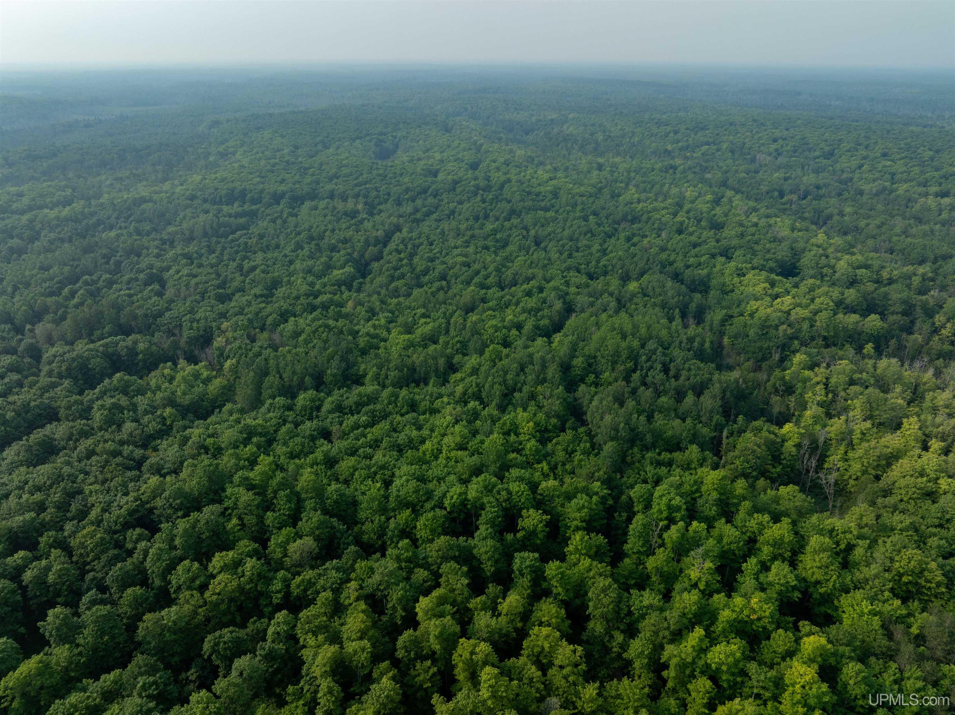 Homes for sale in Eben Junction, MI | Tbd S Ferguson Rd, Eben Junction, MI 49825 | MLS# 50164458