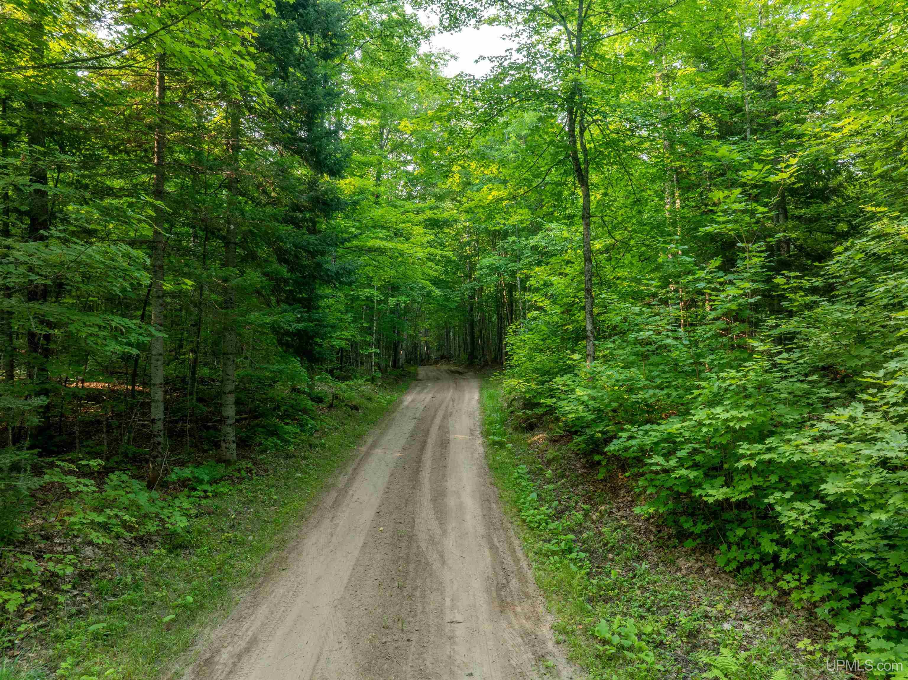 Homes for sale in Eben Junction, MI | Tbd S Ferguson Rd, Eben Junction, MI 49825 | MLS# 50164458