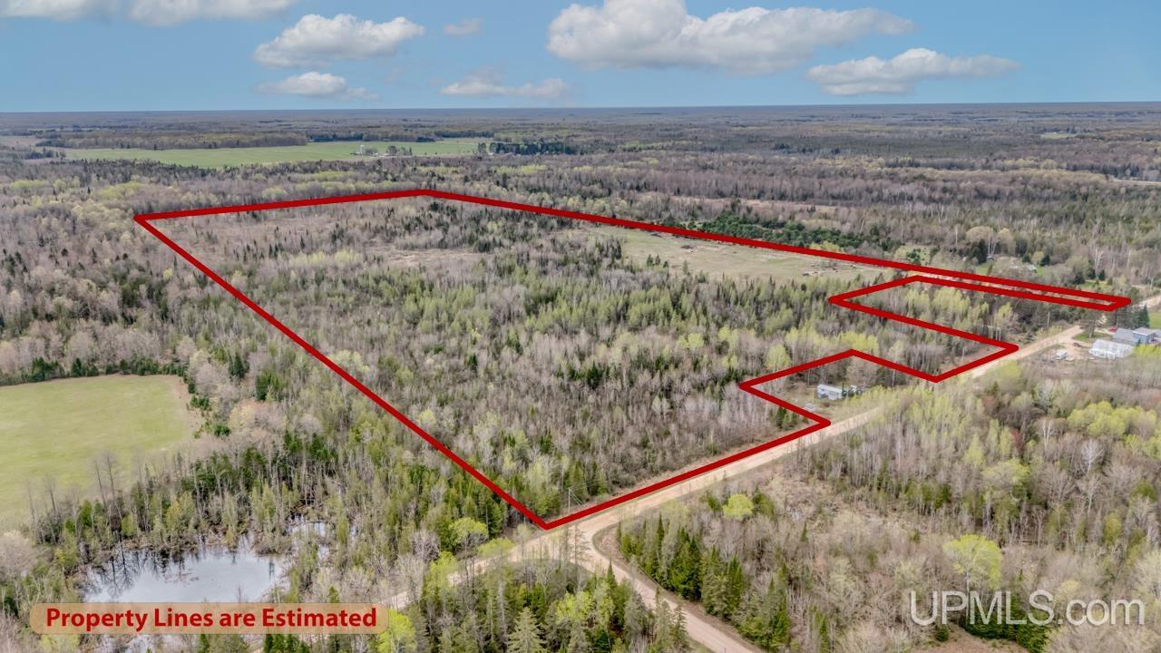 Homes for sale in Trenary, MI | Tbd June Rd, Trenary, MI 49878 | MLS# 50165355