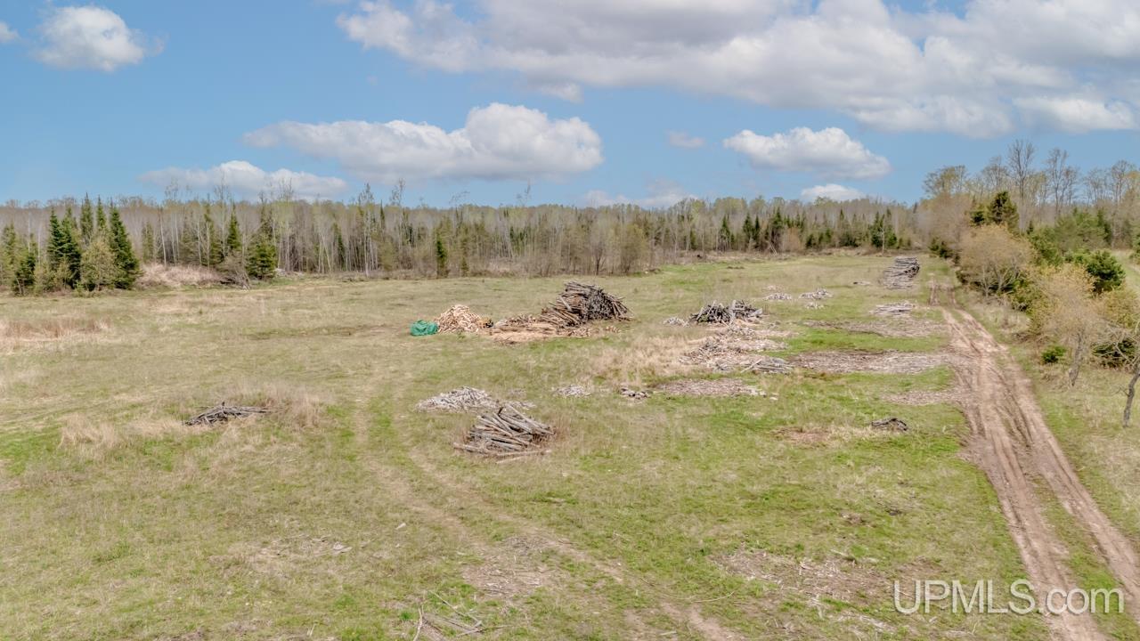 Homes for sale in Trenary, MI | Tbd June Rd, Trenary, MI 49878 | MLS# 50165355