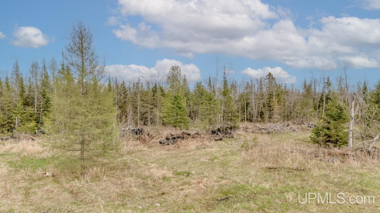 Homes for sale in Trenary, MI | Tbd June Rd, Trenary, MI 49878 | MLS# 50165355