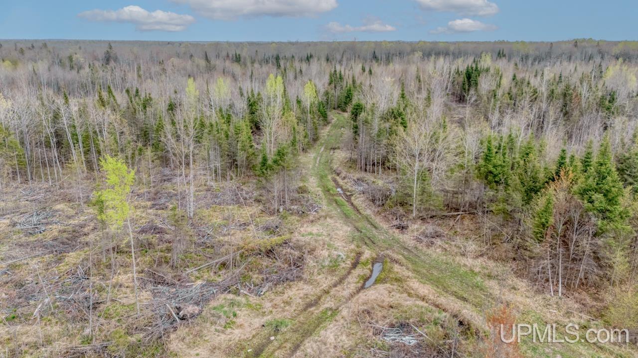 Homes for sale in Trenary, MI | Tbd June Rd, Trenary, MI 49878 | MLS# 50165355